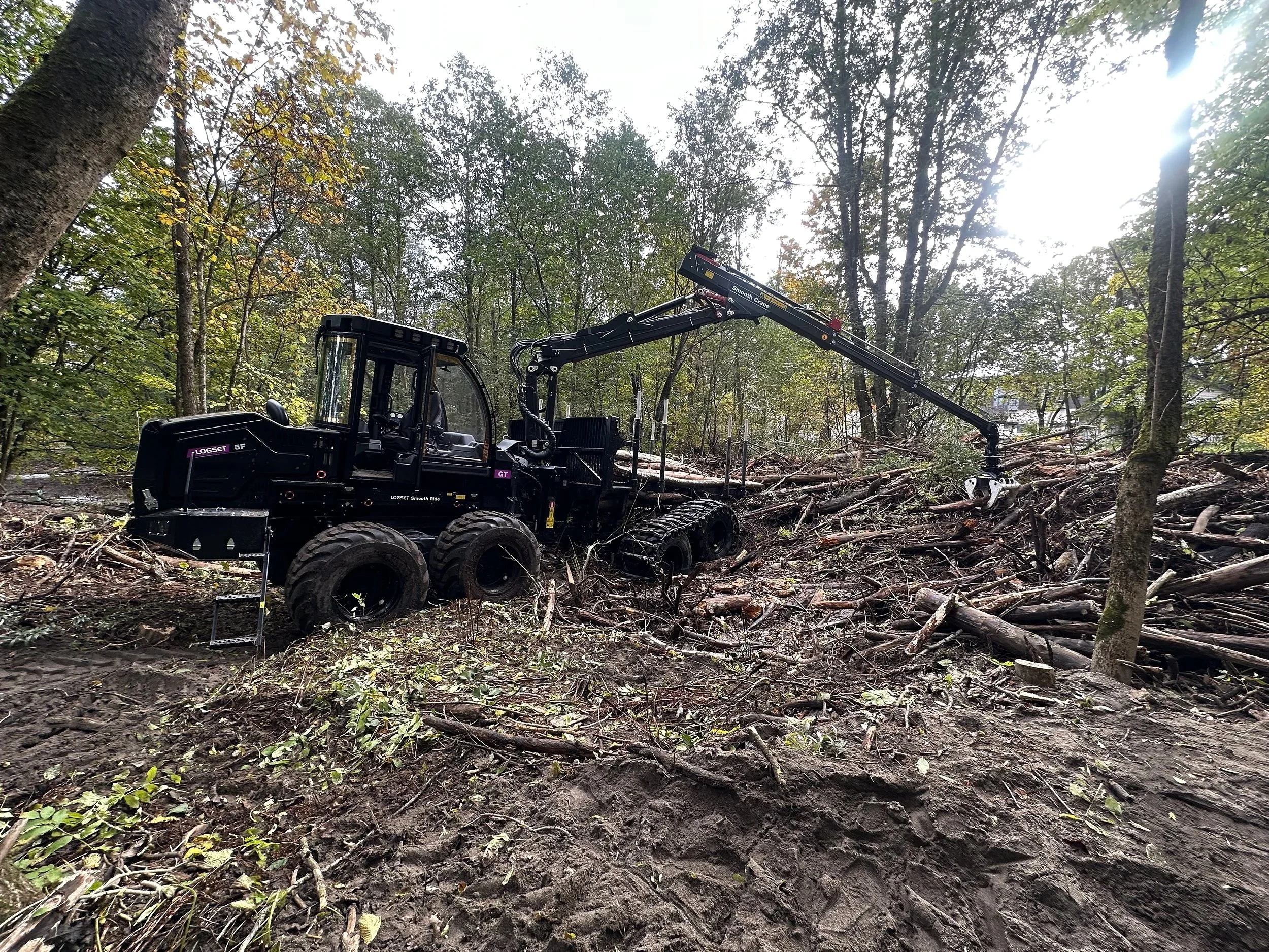 combimaskin og lastbærer med hogstaggregat