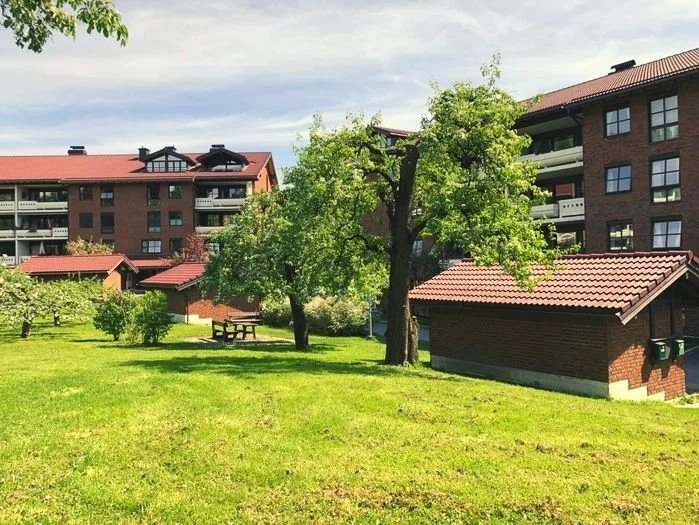 Trefelling og vedlikehold for borettslag og sameier