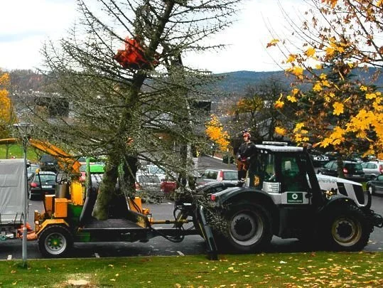Rydding av tomt før salg