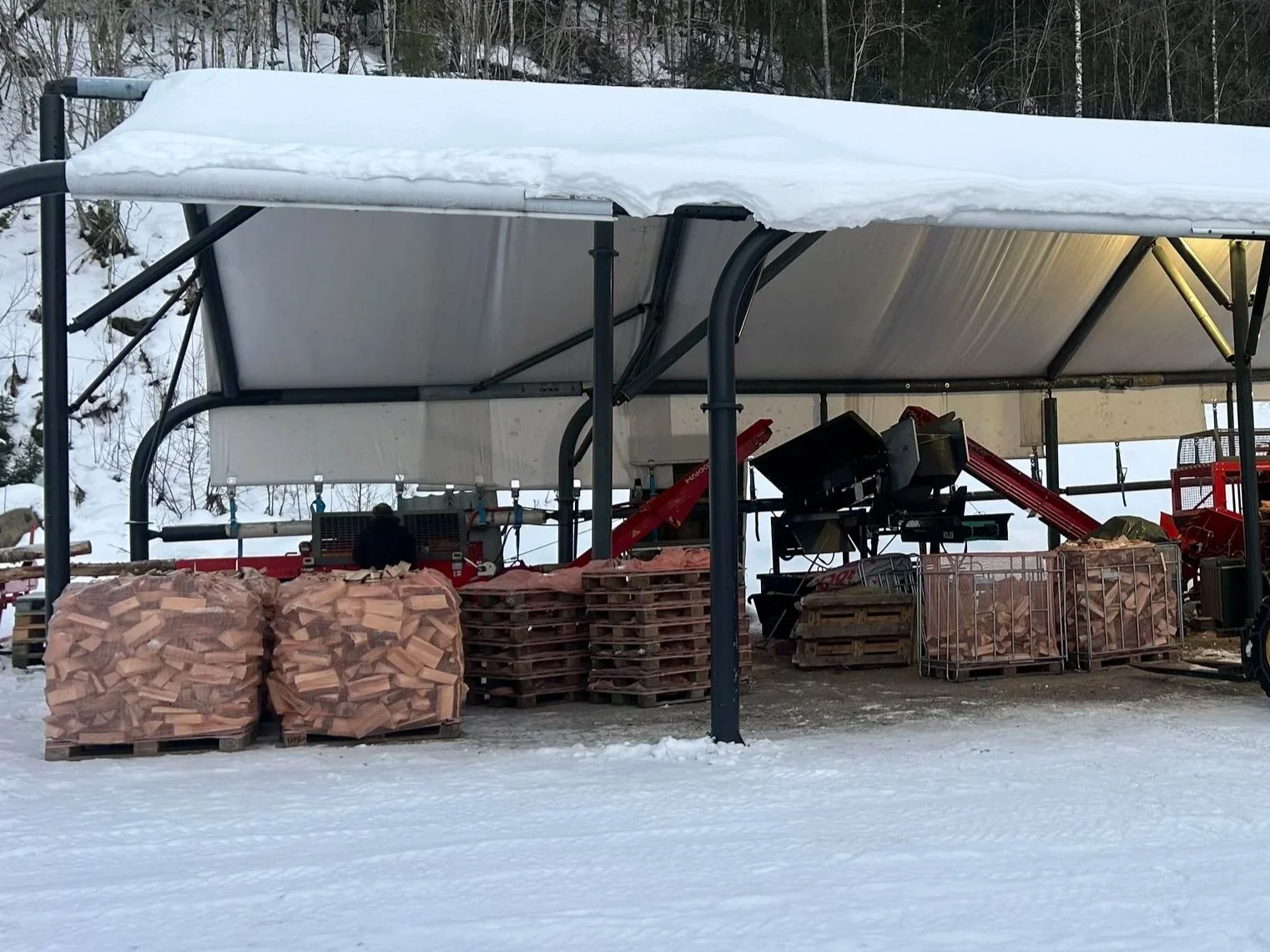 Trevirke - trær som skal bli til ved