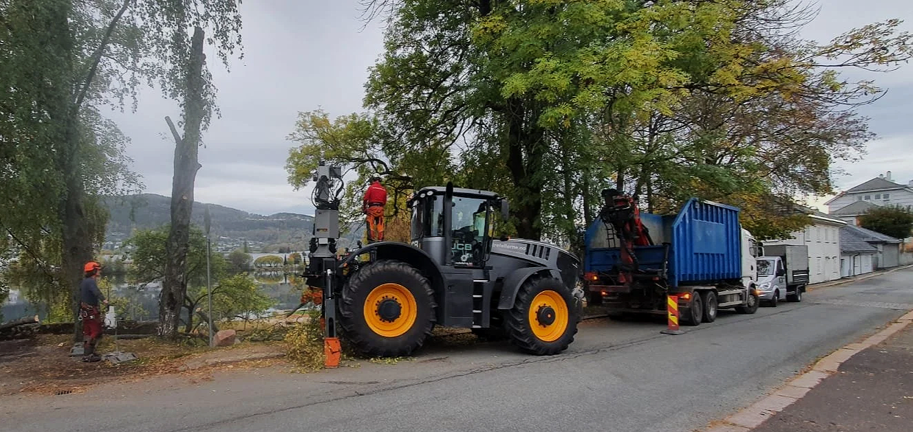 Mennesker som driver tomterydding langs en vei ved hjelp av en veigående skogsmaskin