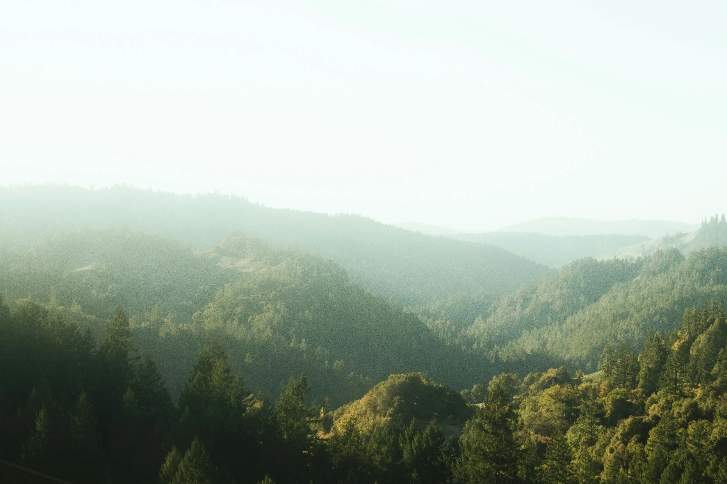 A scenic view of a series of forested mountains with a foggy atmosphere.
