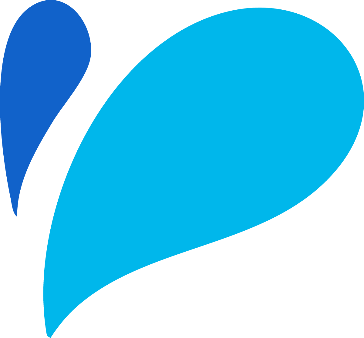 Blue and light blue abstract logo resembling a stylized bird.