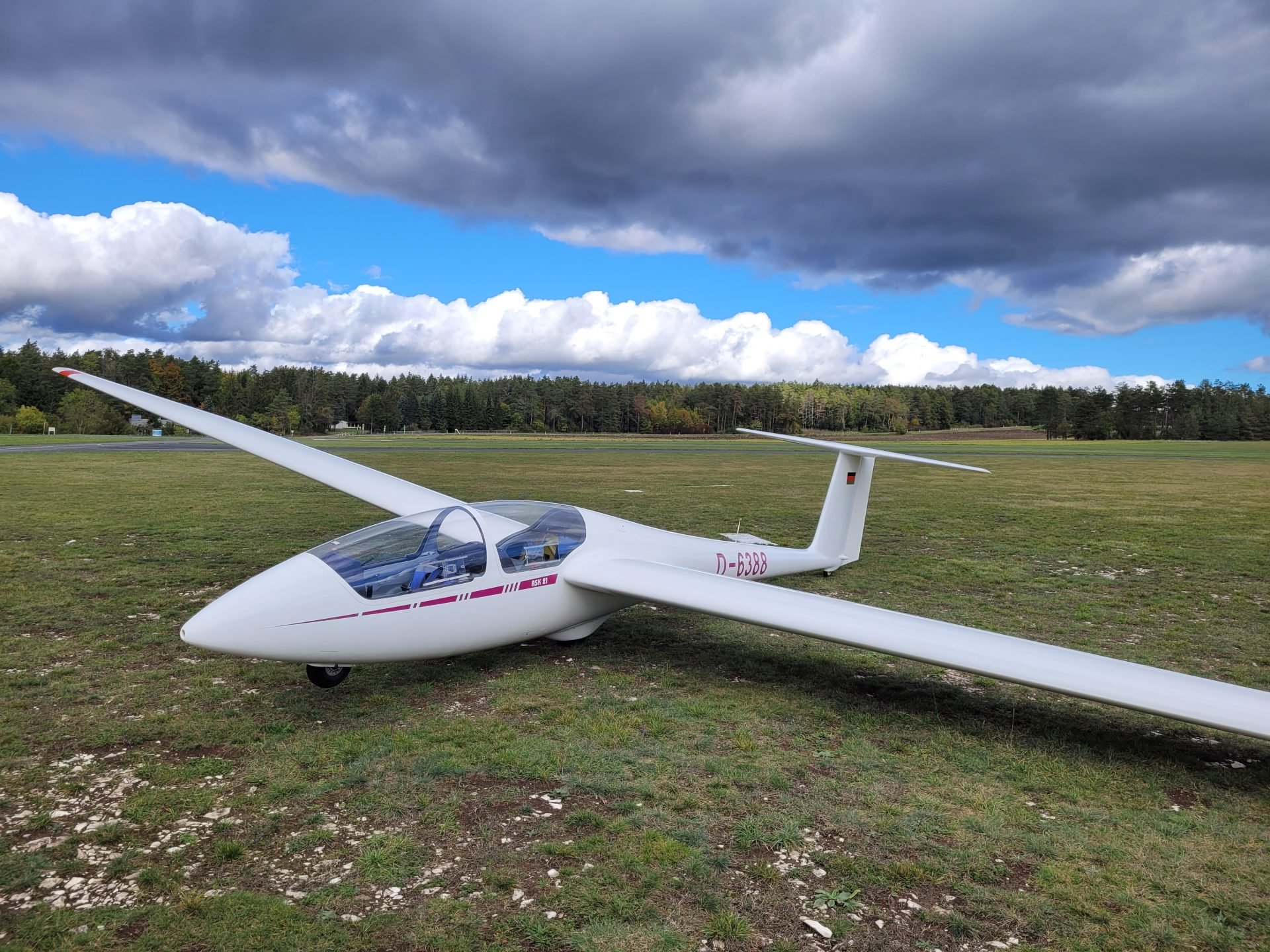 Ein weißes Segelflugzeug liegt auf einer grünen Wiese vor einem bewölkten Himmel, im Hintergrund ist ein Wald zu sehen.