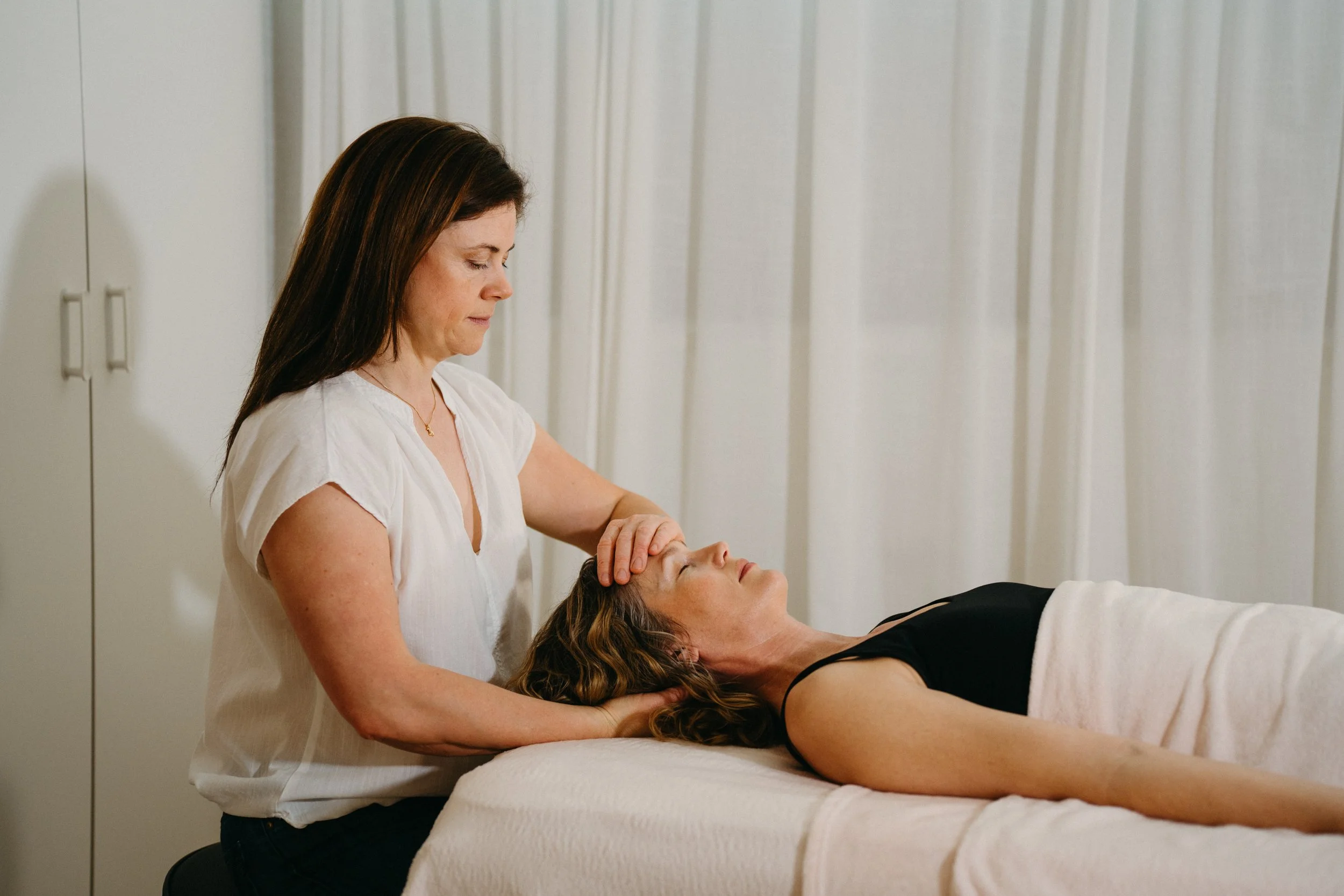 Nervous System Intermediate Online Training│November 24th-25th 2026 09:00-15:00 (CEST)