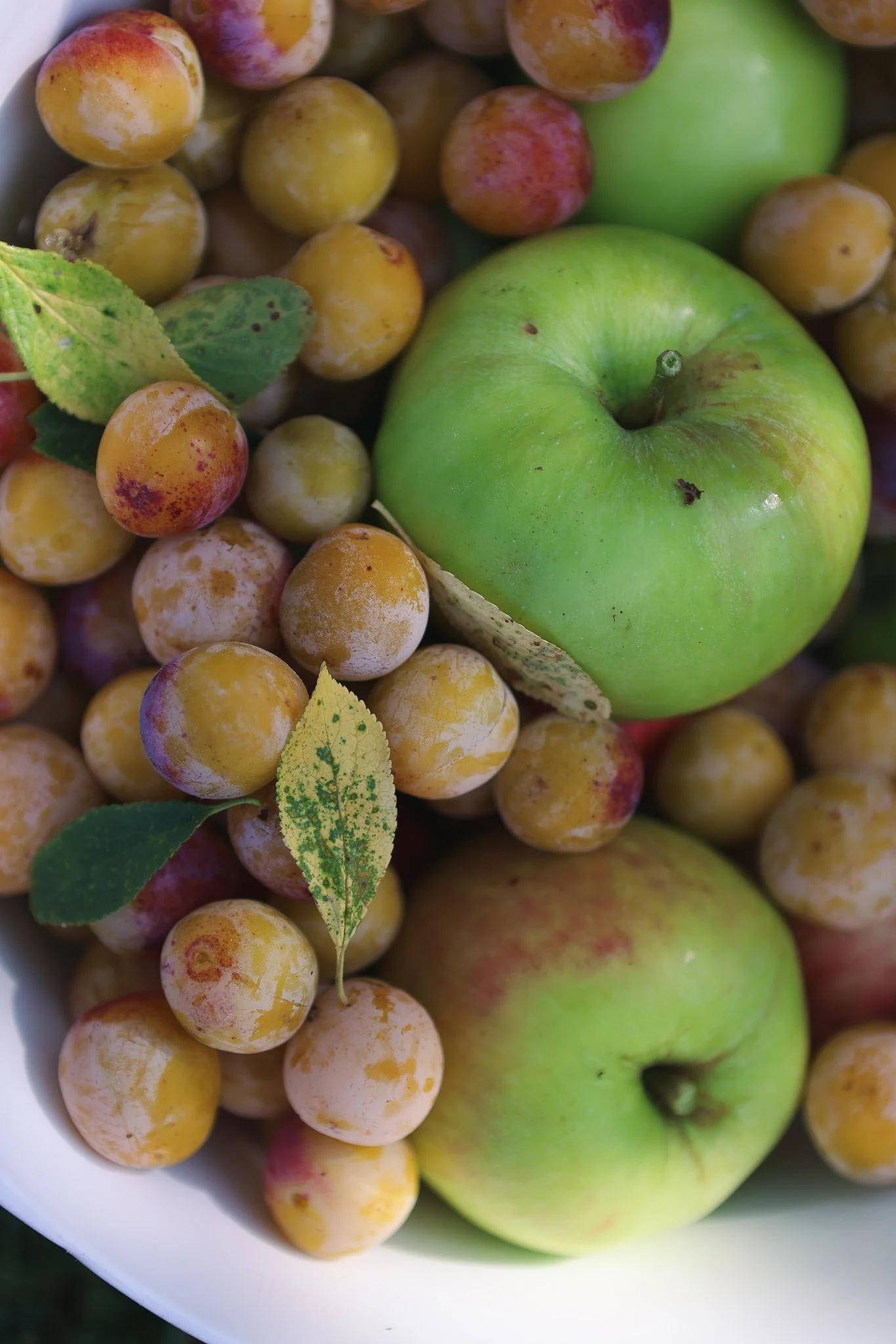 Fresh green apple and cluster of small, ripened grapes with green leaves in a white bowl.