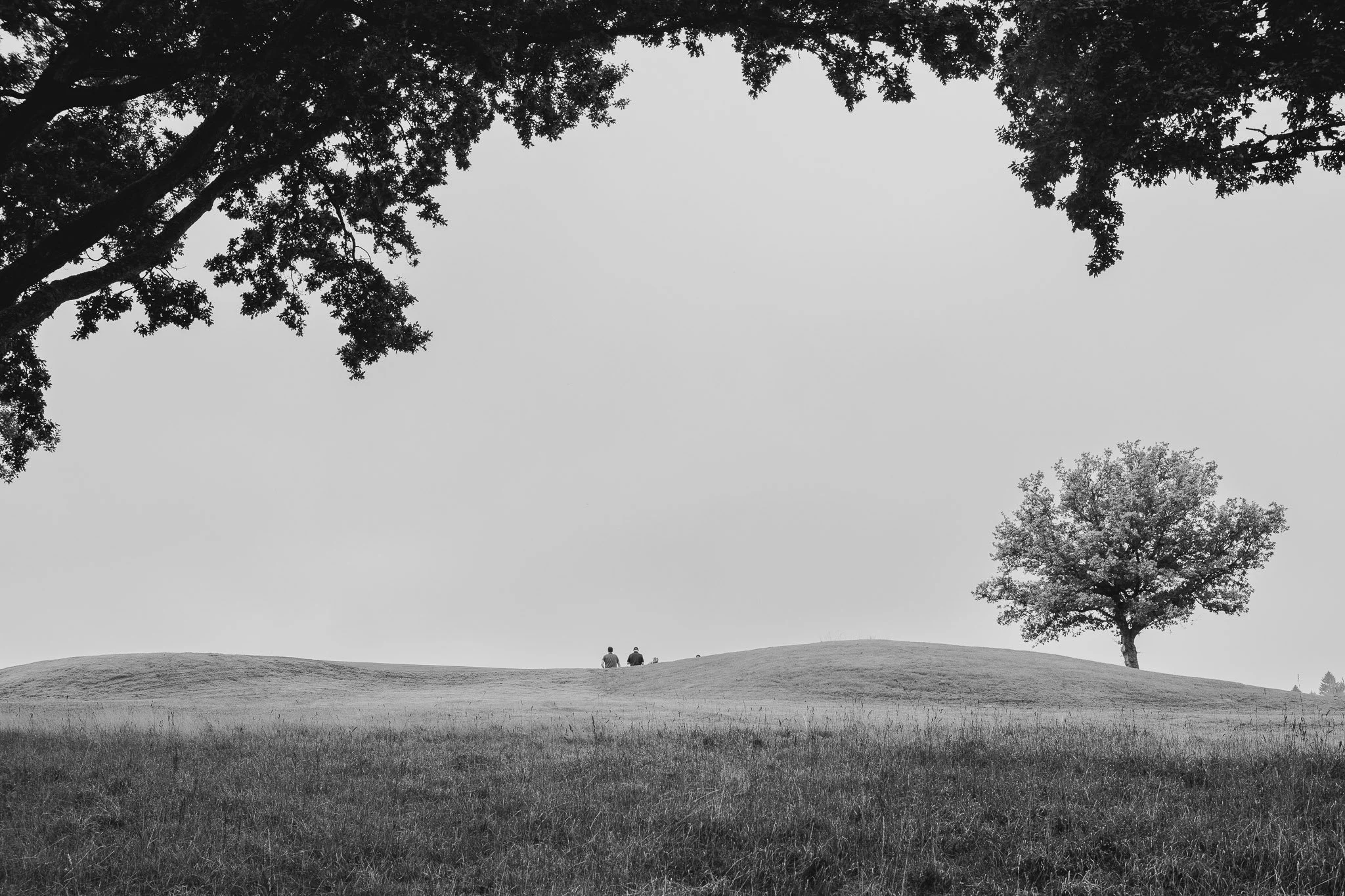 A black-and-white photo of a park with three trees in the foreground and two people sitting on the grass in the background.