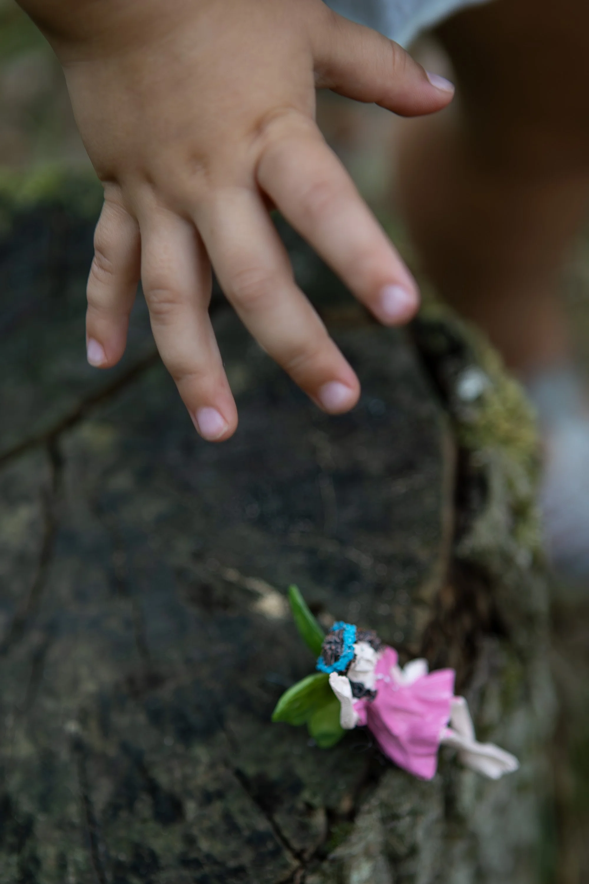 Close-up of a child's hand reaching down towards a crushed pink flower on the ground.