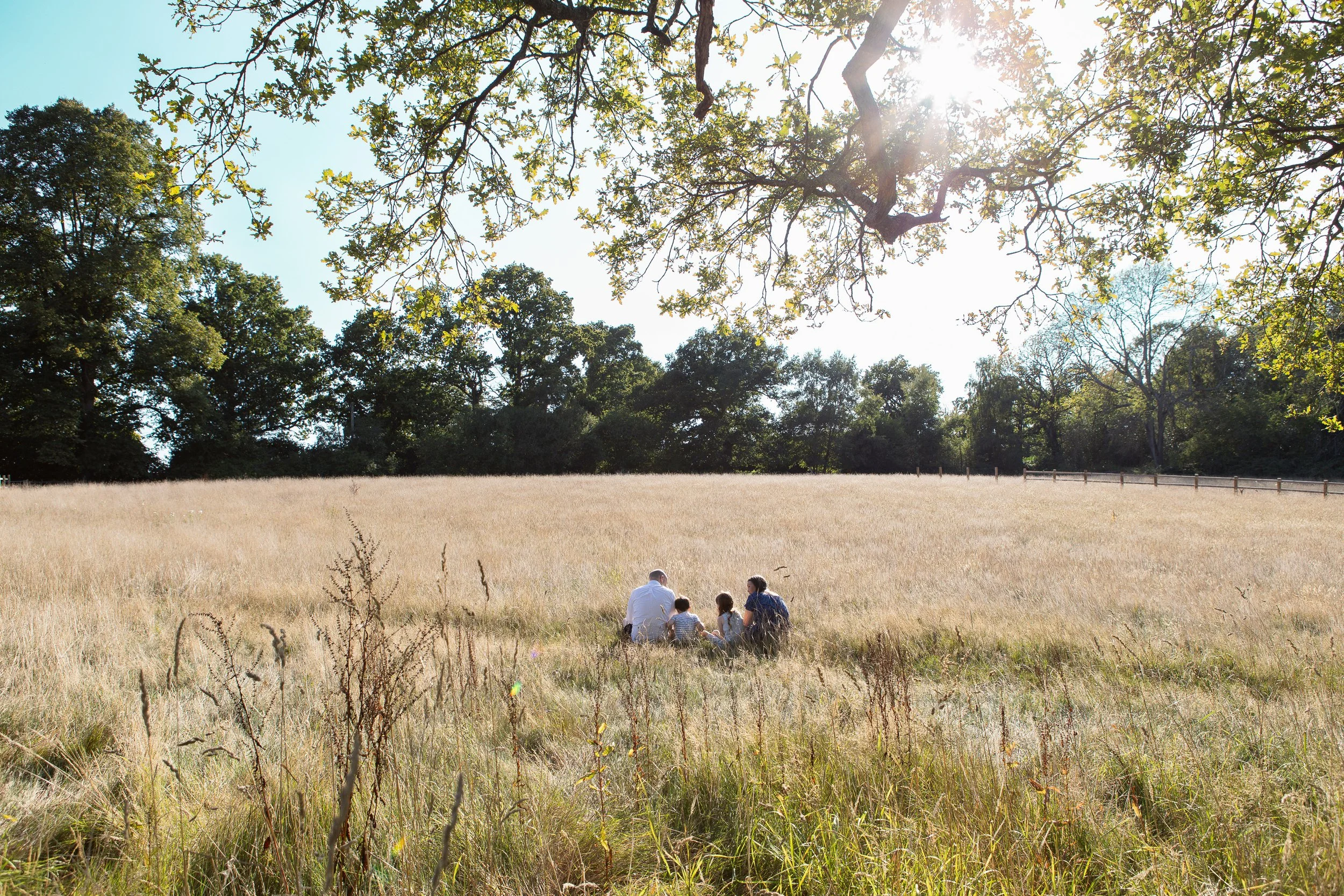 A family of three sitting in a grassy field, with tall trees and clear blue sky in the background, and the sun shining through the branches.