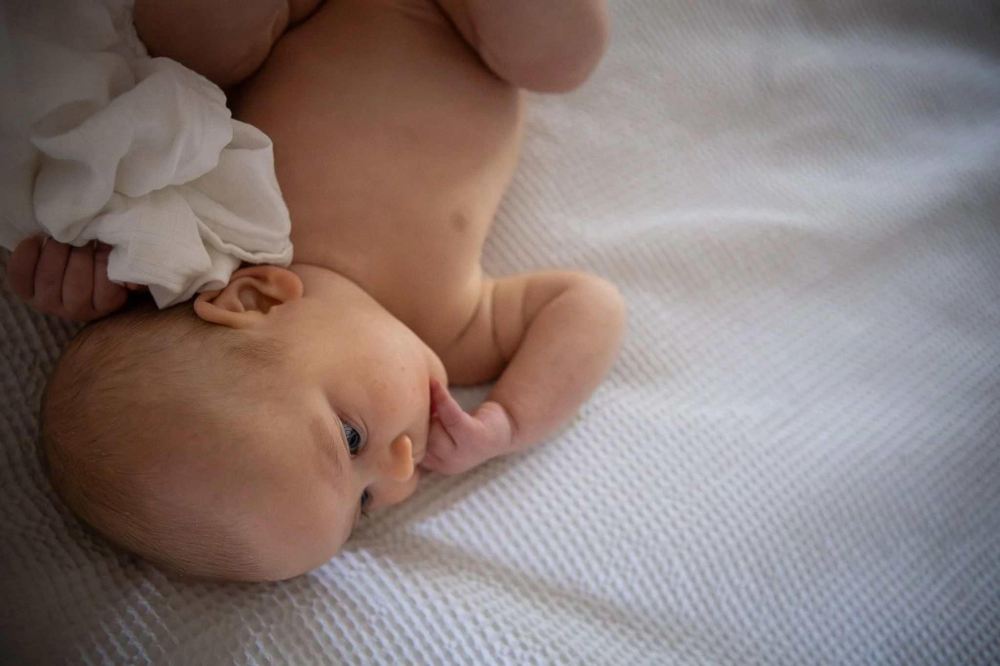Two babies lying on their sides on a white textured blanket, one with a diaper and light blue eyes, the other with a bald head. One baby is touching the other’s arm, and the baby with blue eyes is looking up.