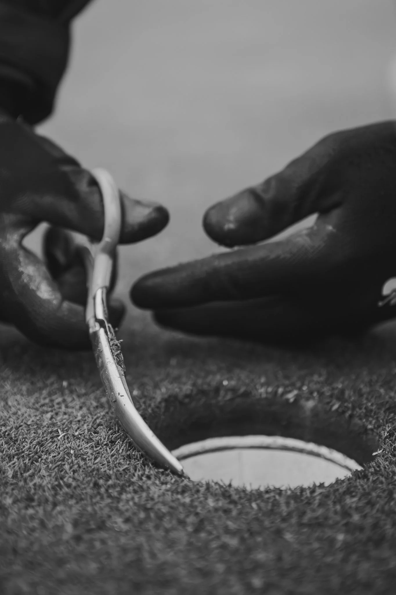 Close-up of a black and white image showing a pair of gloved hands holding a golf club, with the club touching the grass on a golf course.
