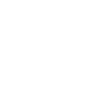 KT Evolution
