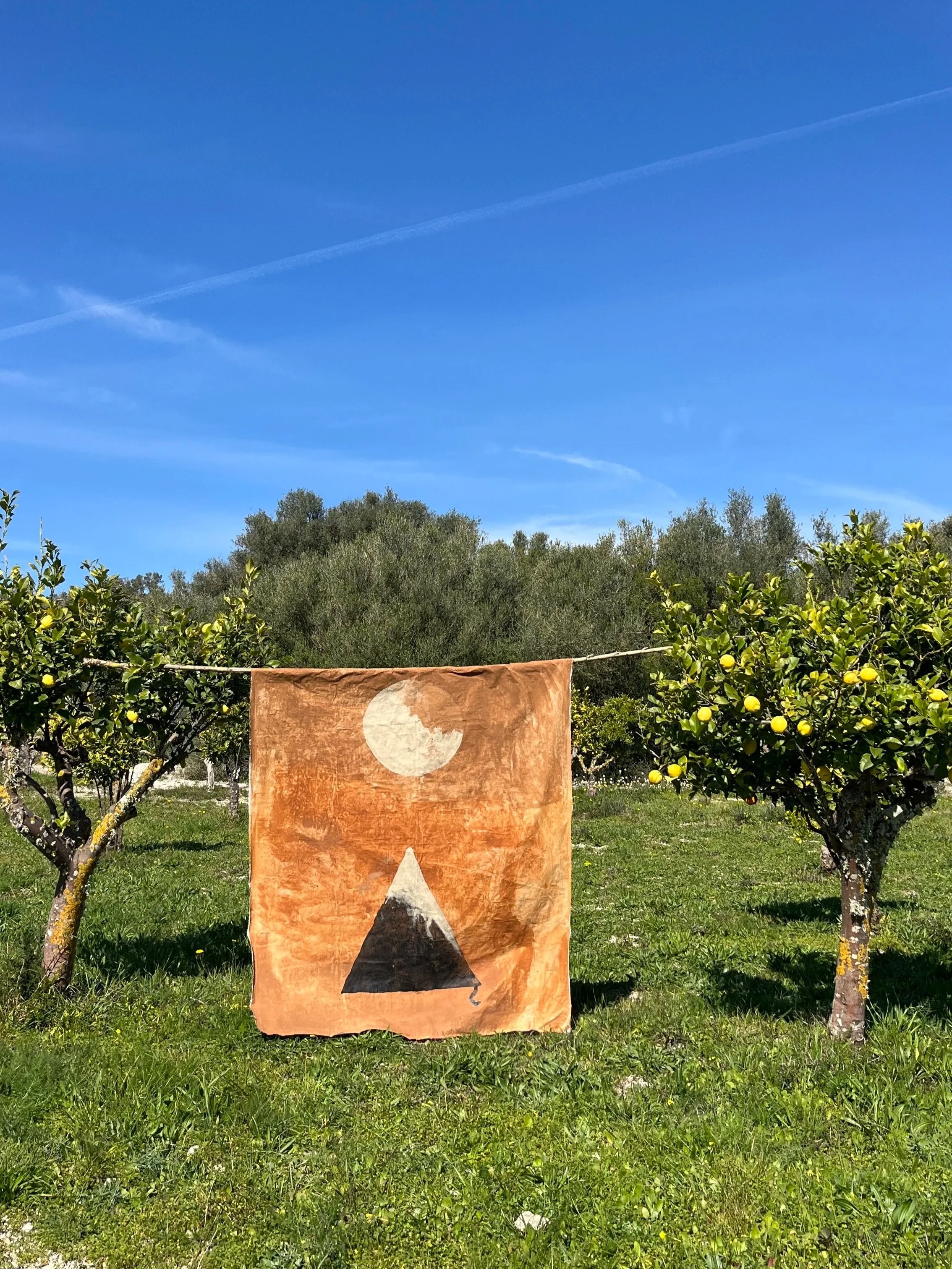 Twee fruitbomen met gele vruchten, een blauwe hemel met wolken en contrails, en een doek met een afbeelding van een zwart en wit berg met een halve maan.