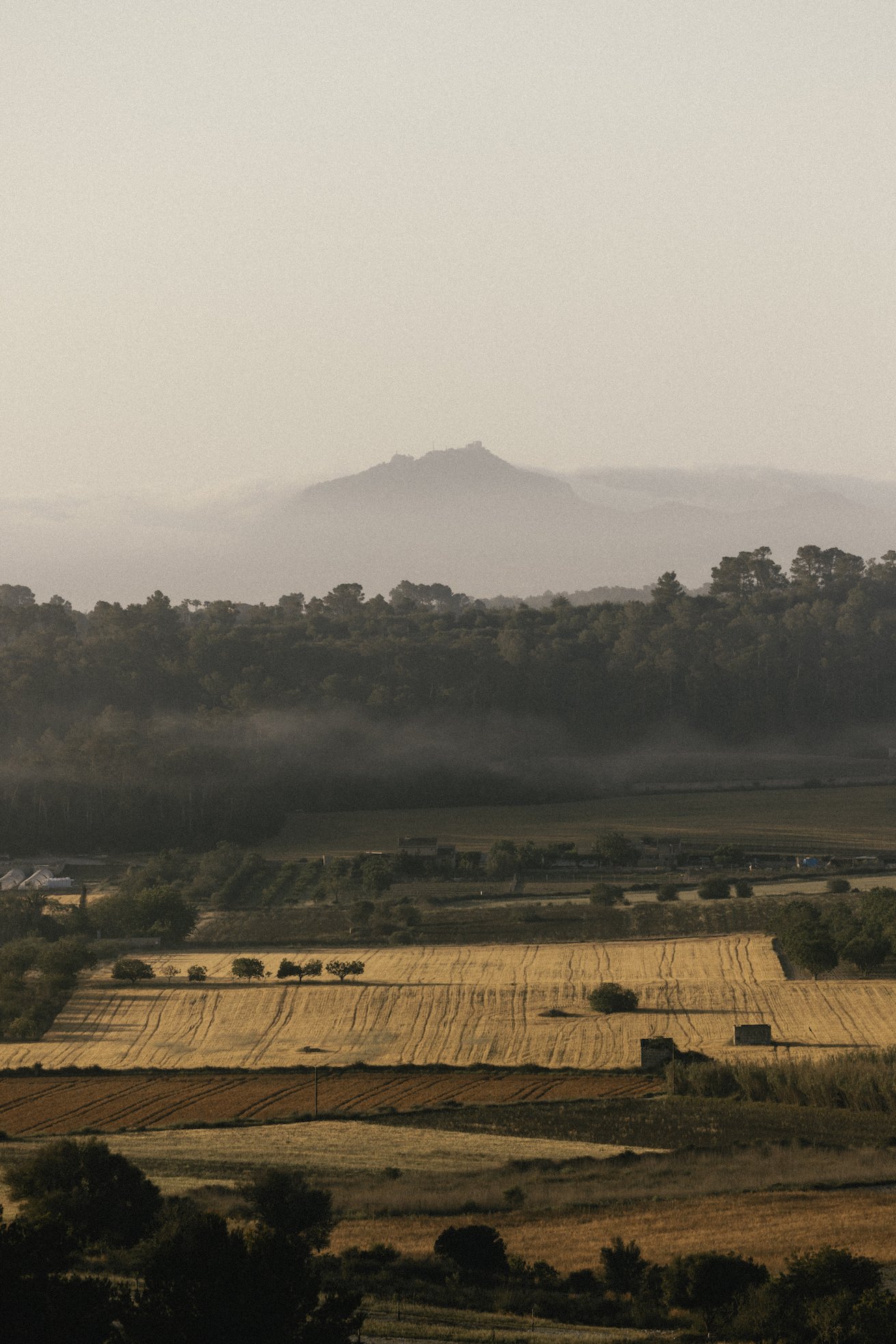 Een landschapsfoto van Mallorca met een berg op de achtergrond, boomgaarden in het midden en velden in de voorgrond onder een bewolkte hemel.