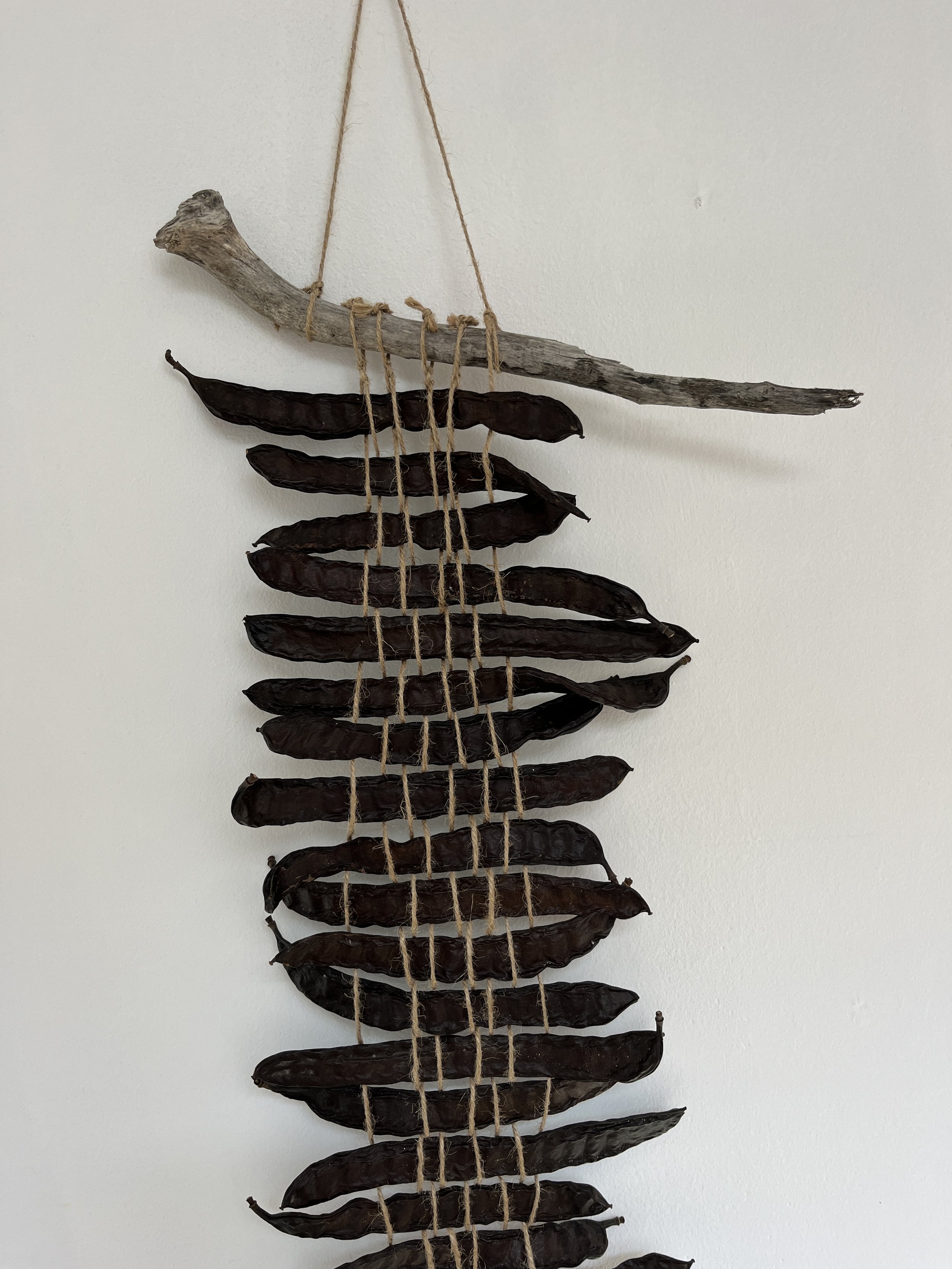 Johannesbroodboom zaden decoratie artwork kunstwerk uit mallorca