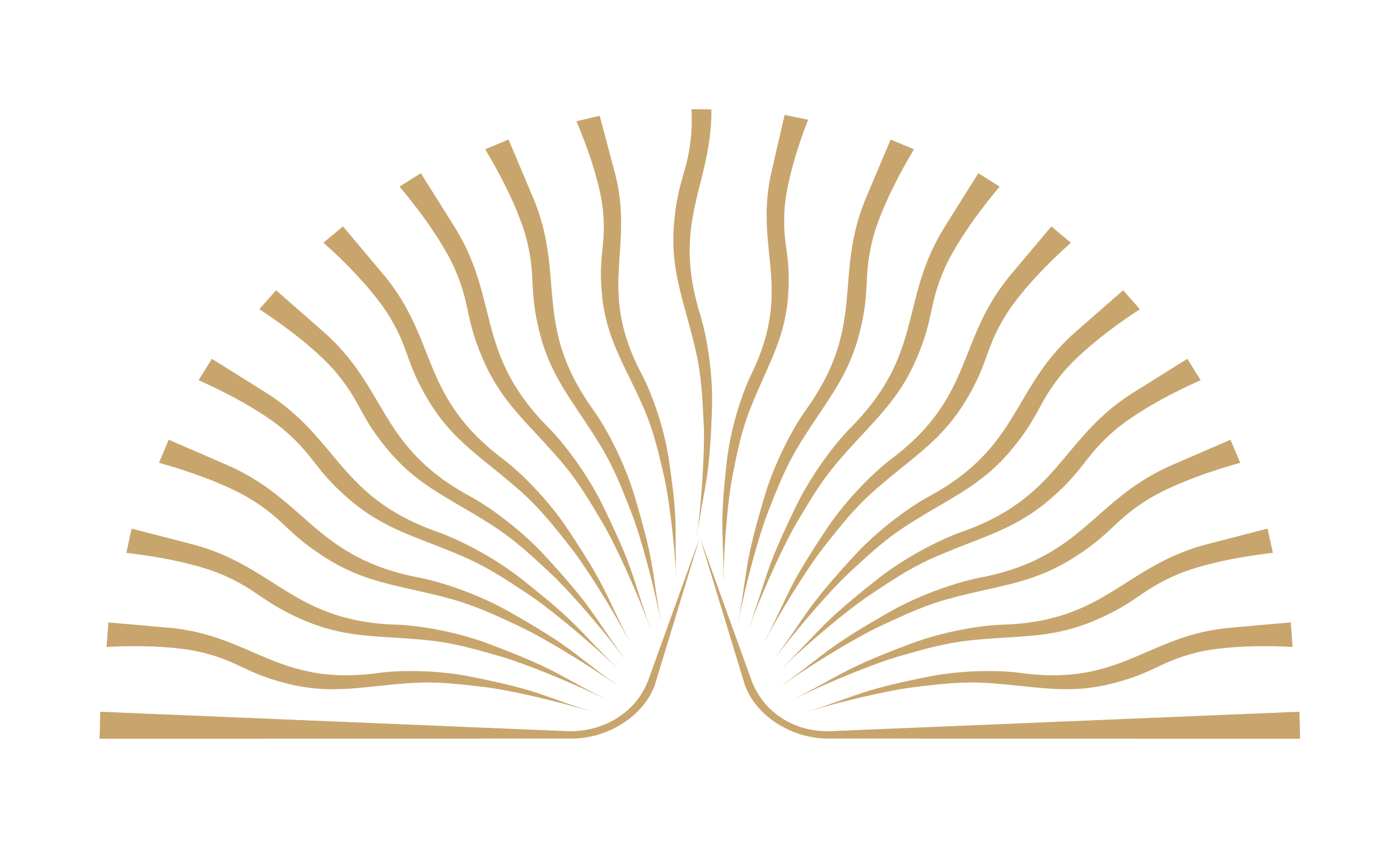 Gold open book illustration with radiating lines emanating from the pages.