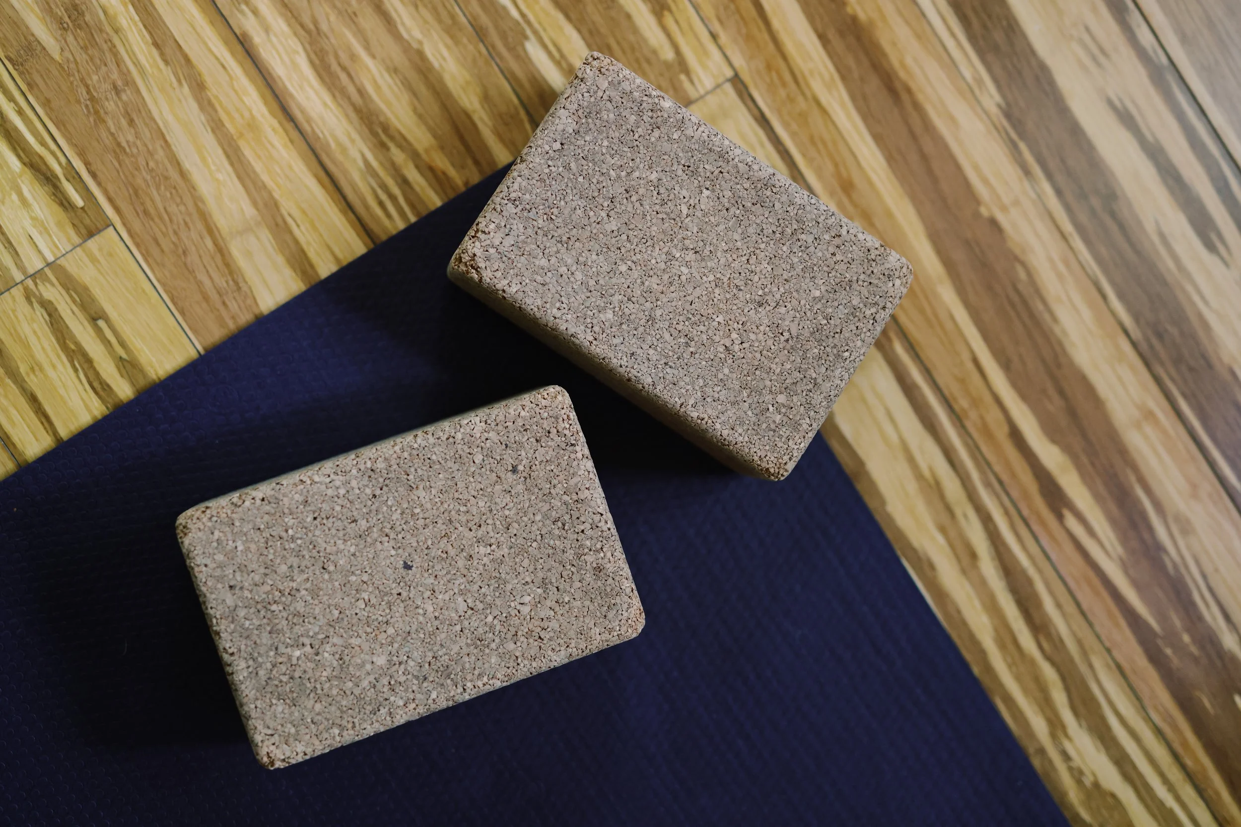 Two beige bricks with a speckled surface on a dark blue and wood floor.
