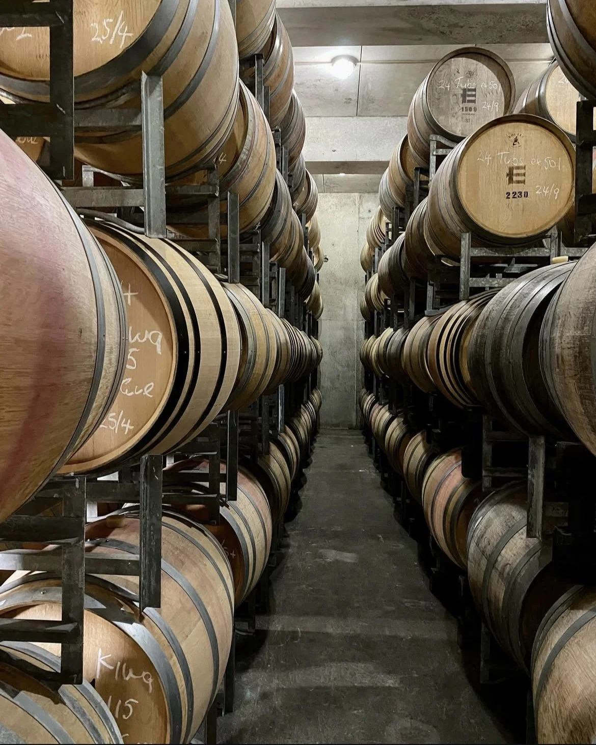 Wine barrels, New zealand