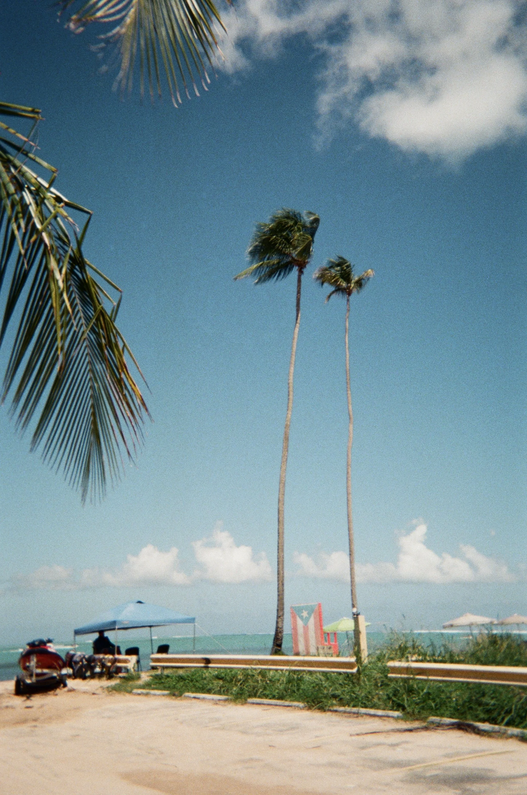El Yunque Rainforest, Puerto Rico