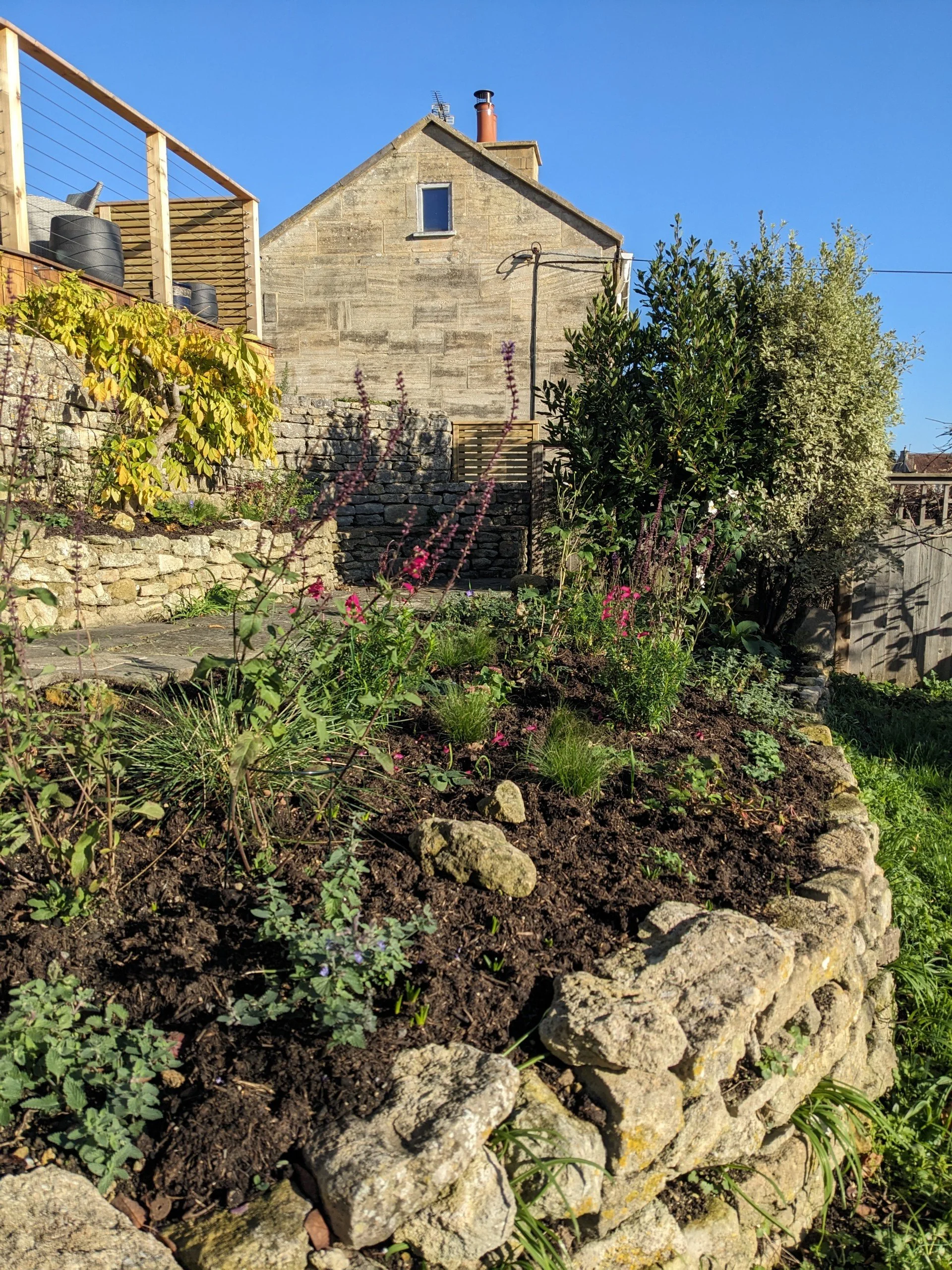 A garden bed with various plants and flowers, bordered by a stone wall, with a house and a blue sky in the background.