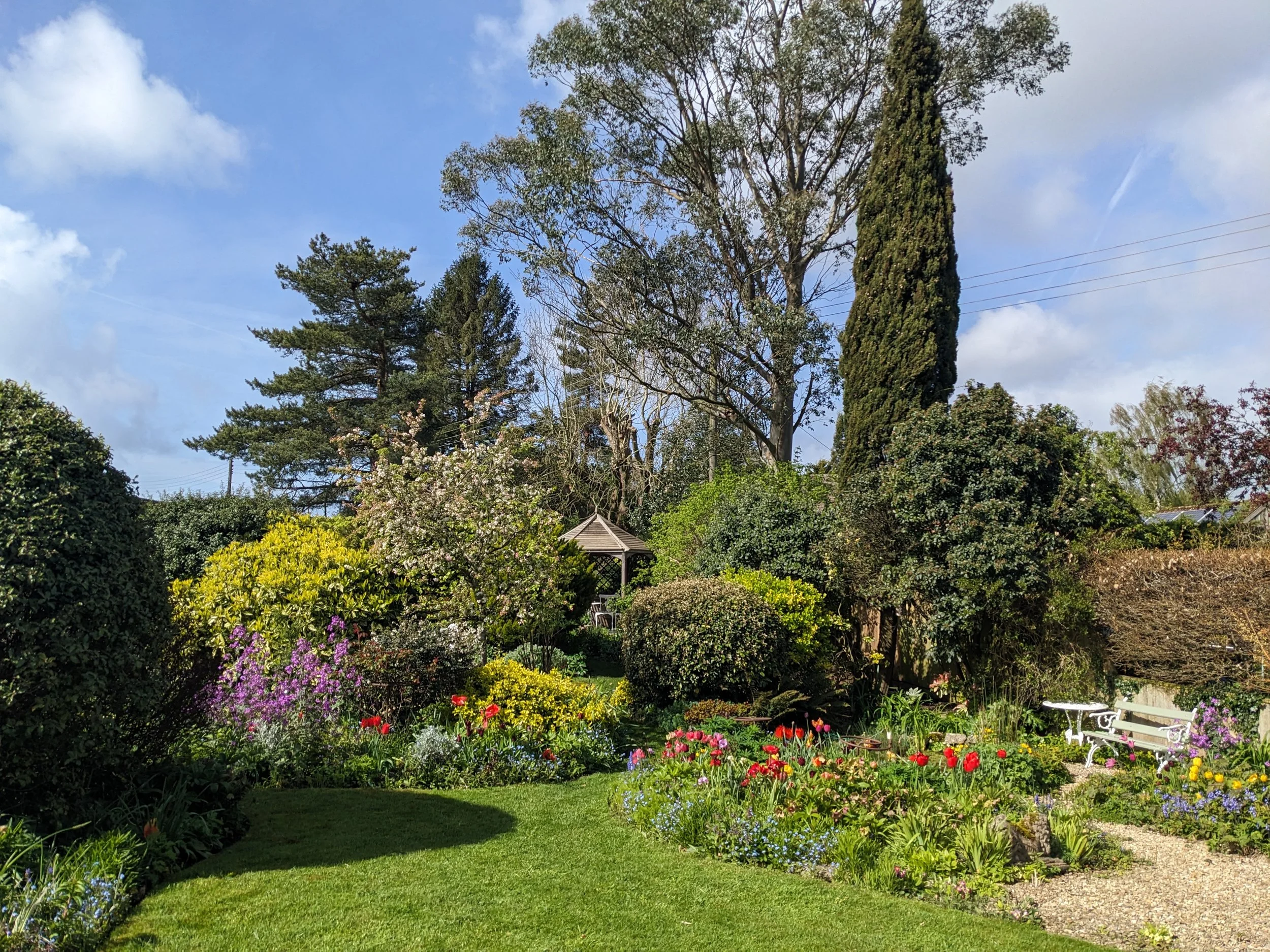 A lush garden with various blooming flowers, green bushes, and tall trees under a partly cloudy blue sky.
