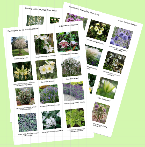 Two plant nursery planting lists with images of various flowers and plants.