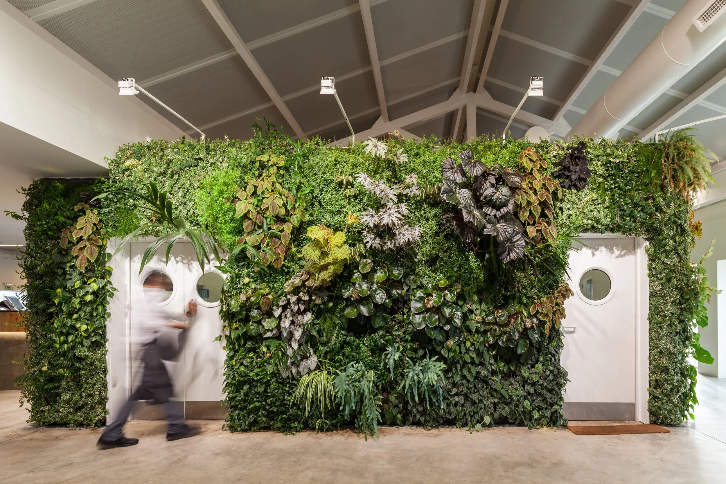 Restaurant Living Wall-Kitchen