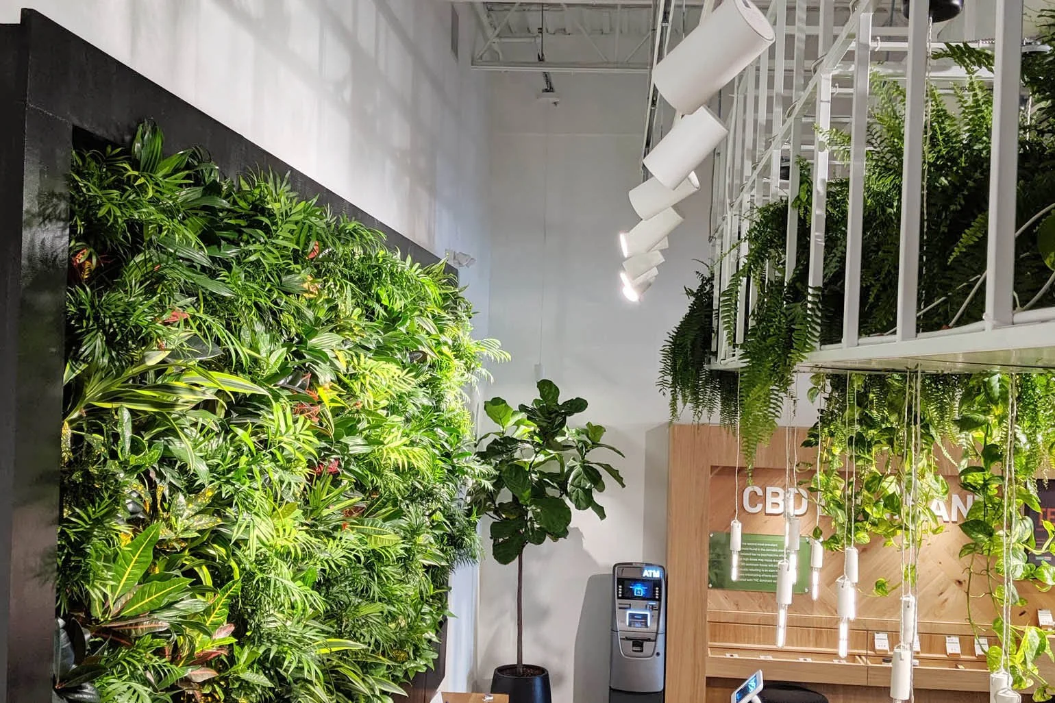 Living Wall Lighting Requirements: A Guide for Architects, Designers &amp; MEP Engineers