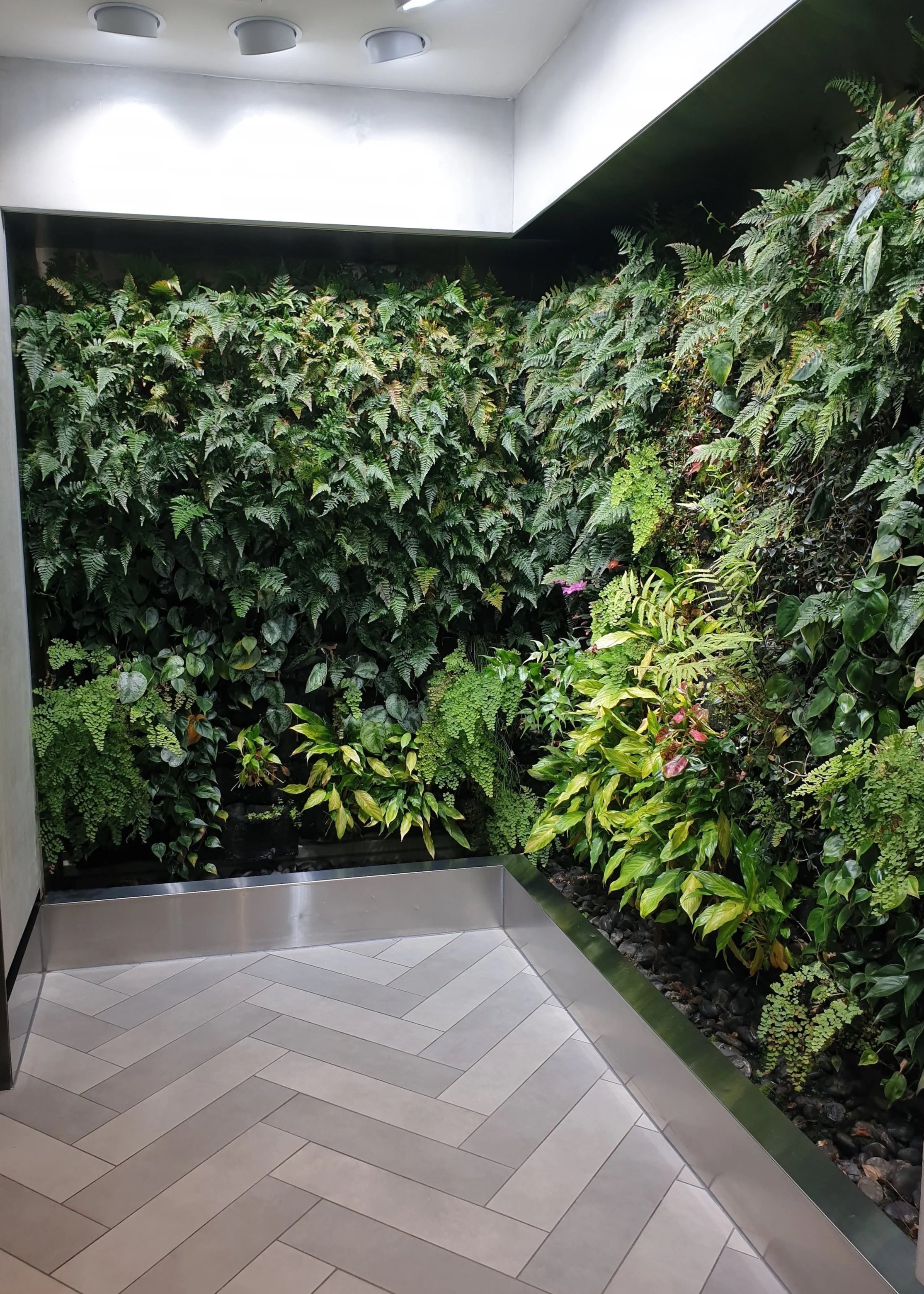 Green Walls: Why System Choice Makes or Breaks Your Installation