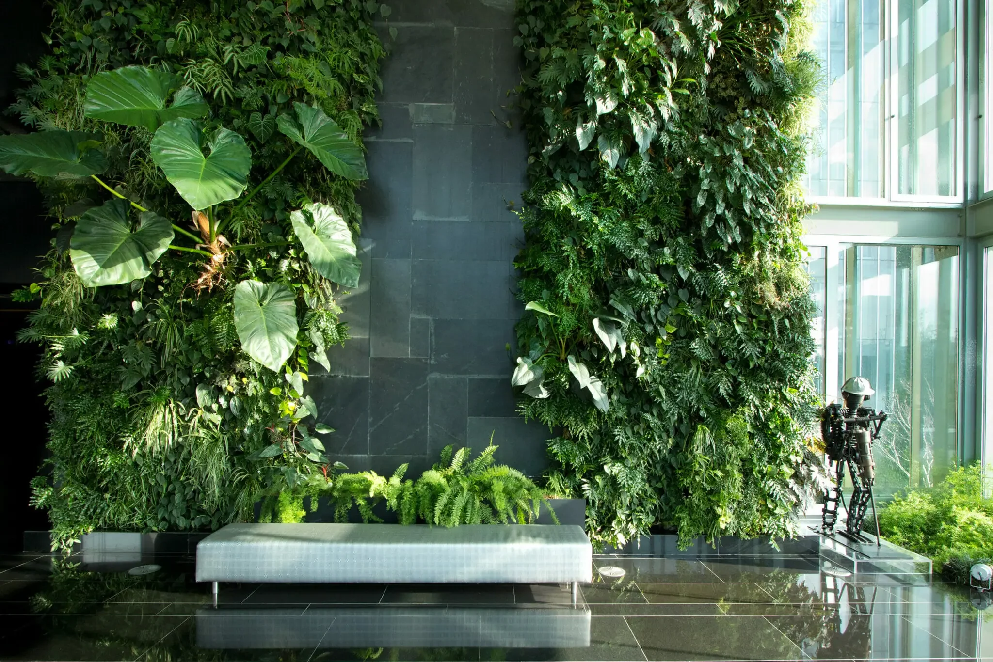 Why Root Migration Is the Difference Between a Living Wall That Thrives and One That Barely Survives