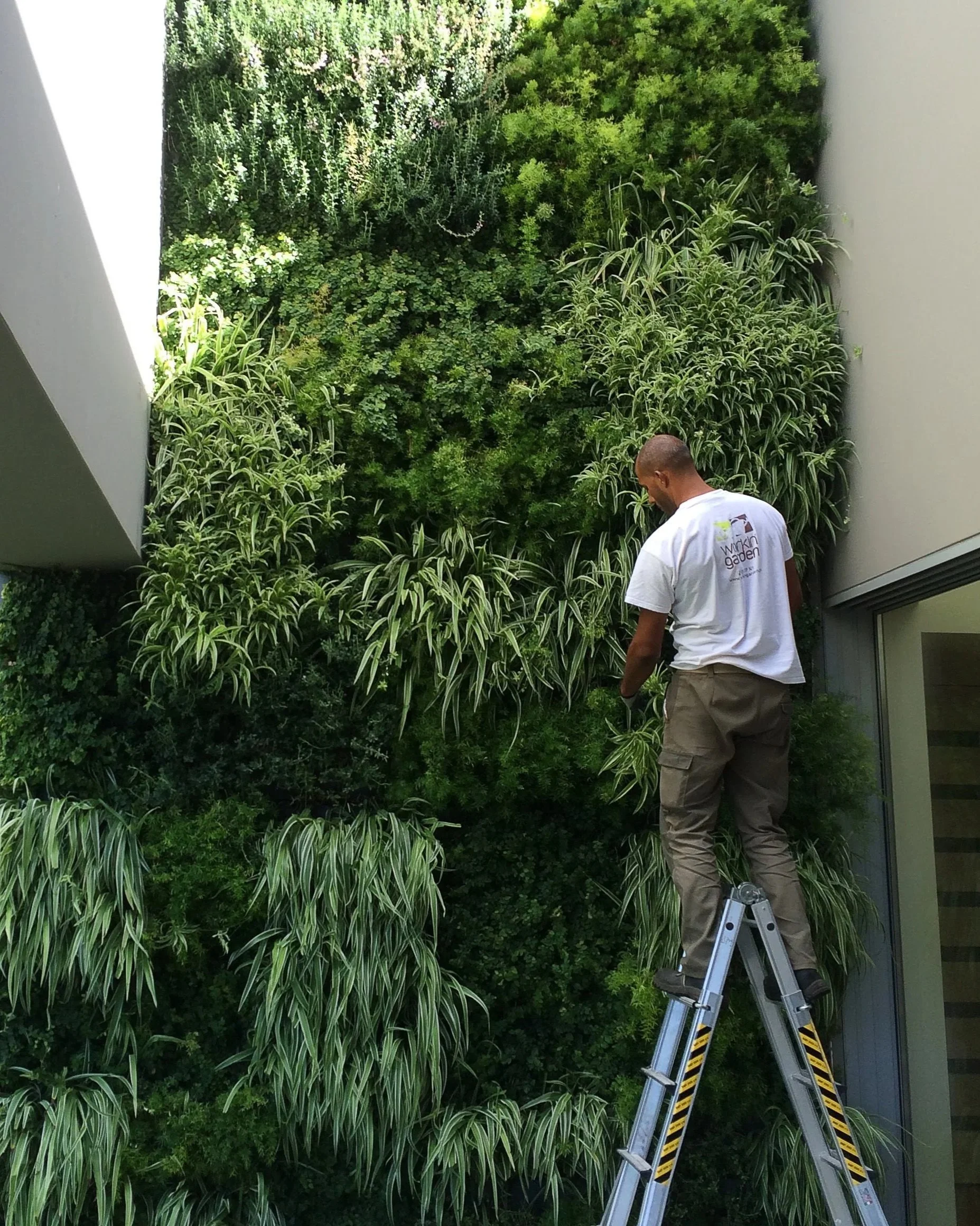 Outdoor Living Wall Maintenance