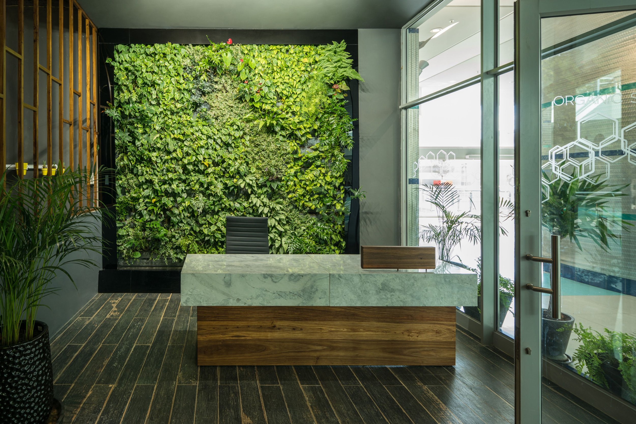 Green Walls vs. Acoustic Panels: Which Is Better for Office Acoustics?