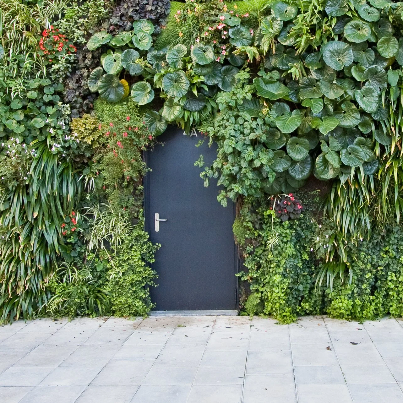 The MEP Coordination Checklist for Interior Living Walls