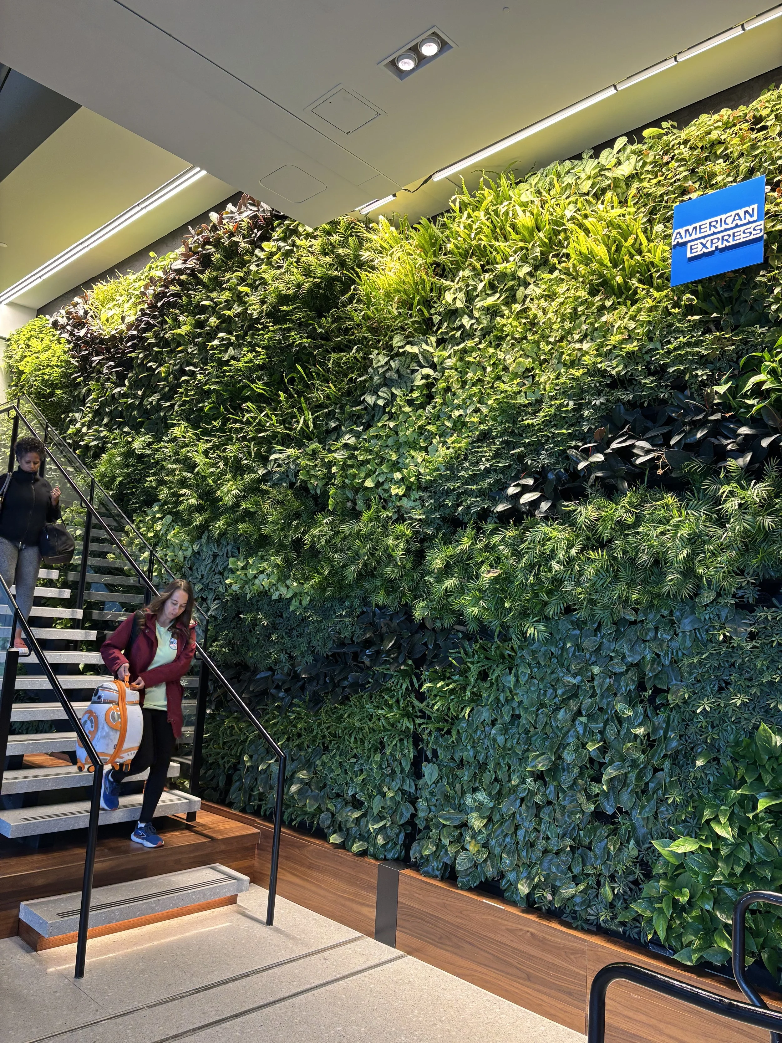 What Are the Latest Trends in Green Wall Design?