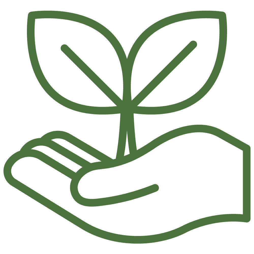 Outline of a hand holding a sprouting plant with two leaves.