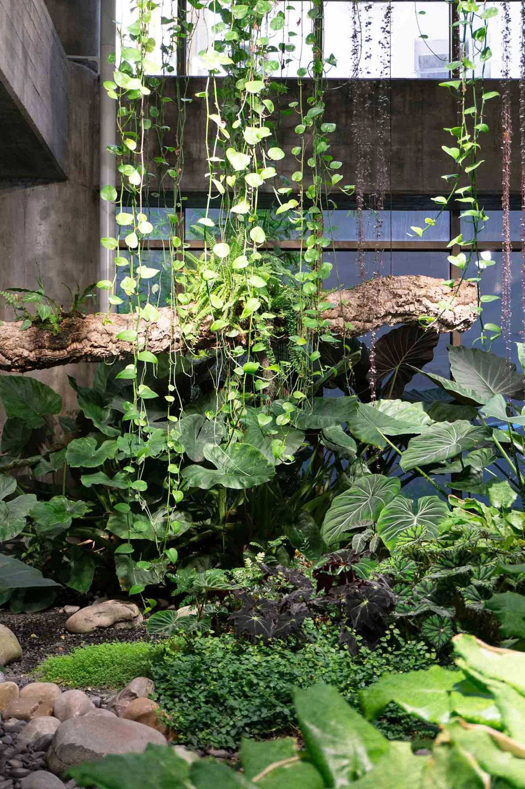 Planter w/ wood log 