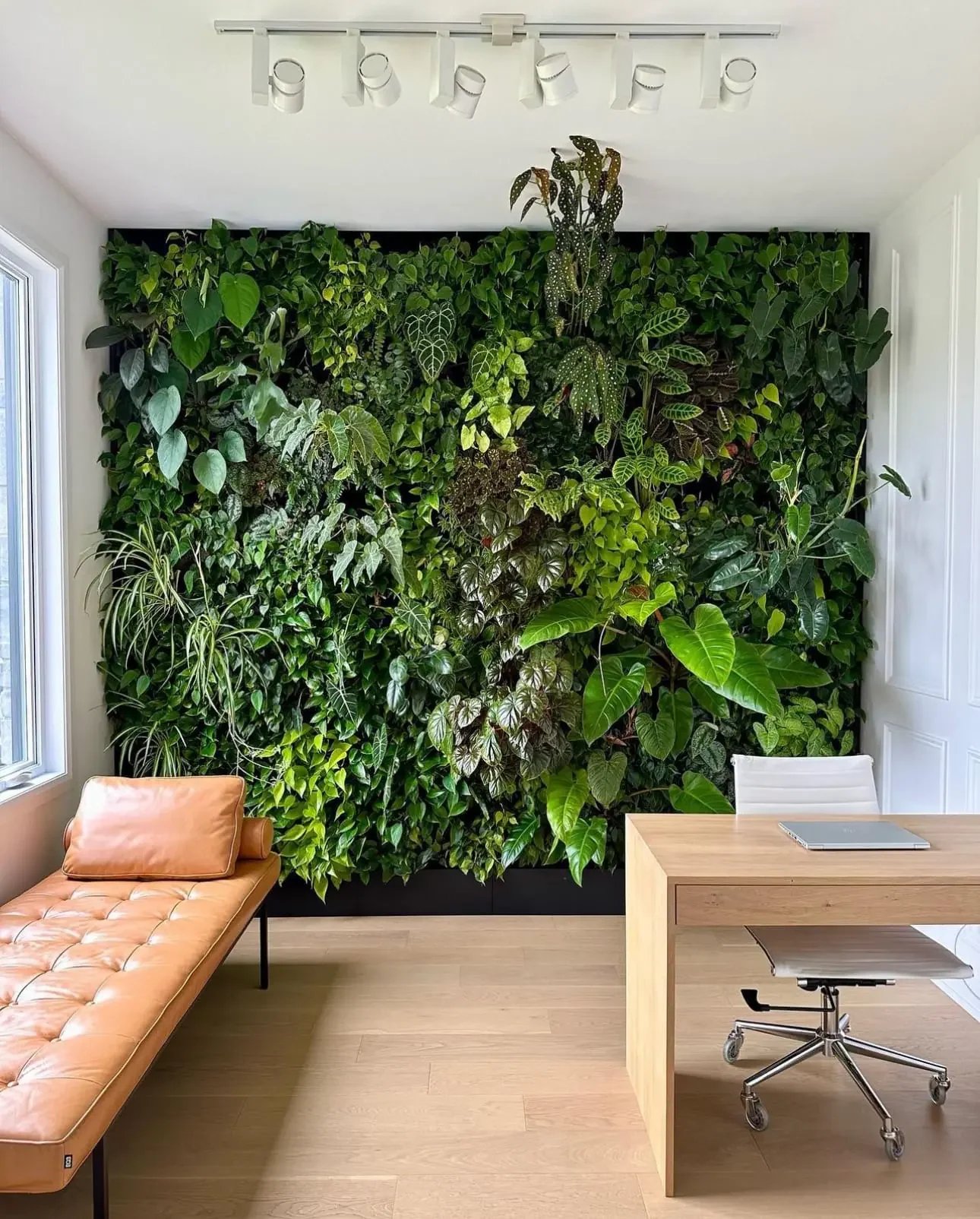 office green wall