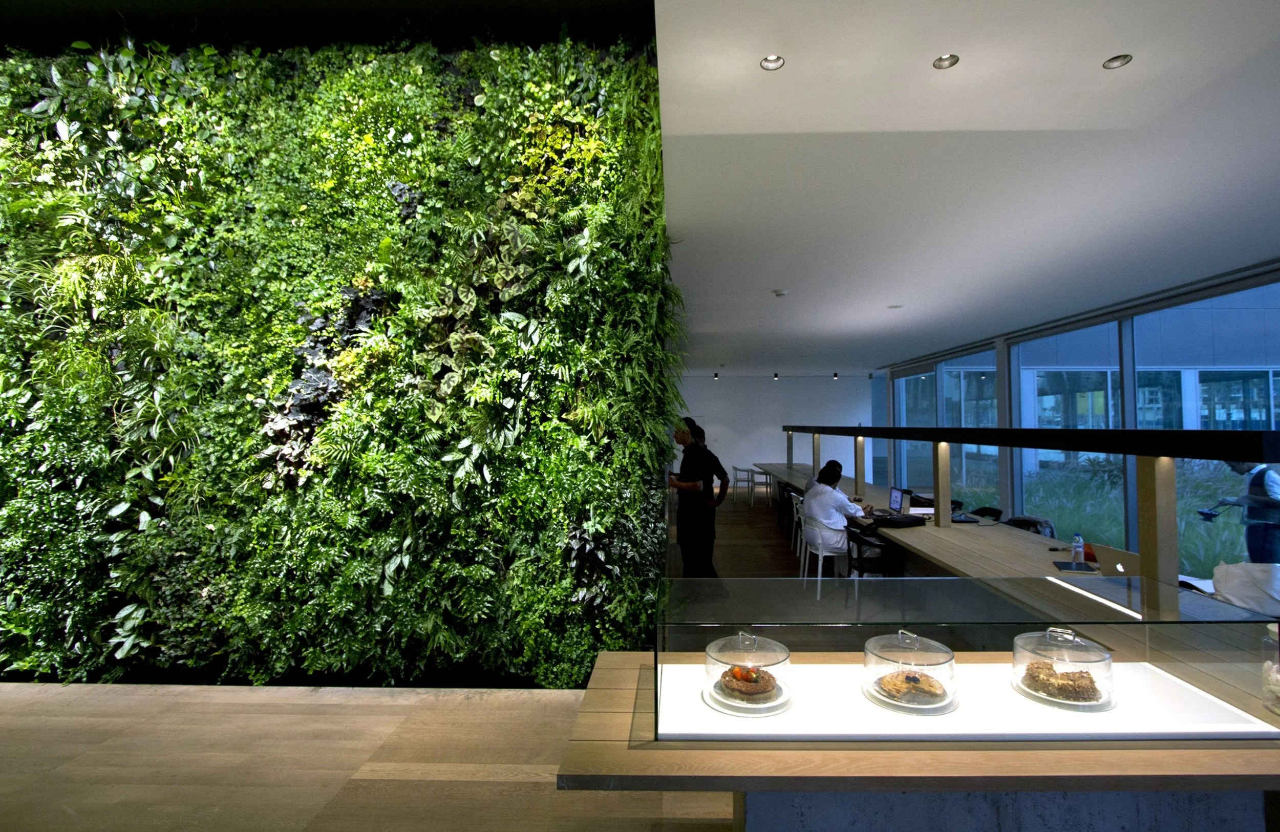 Living Wall in a busy restaurant