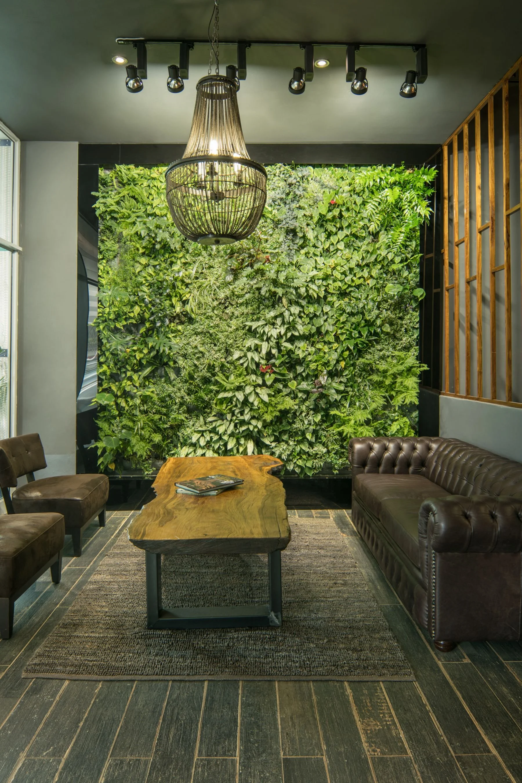 Organic-space_Vertical-Garden-Design_living-wall_Johannesburg_South-Africa_6.jpg