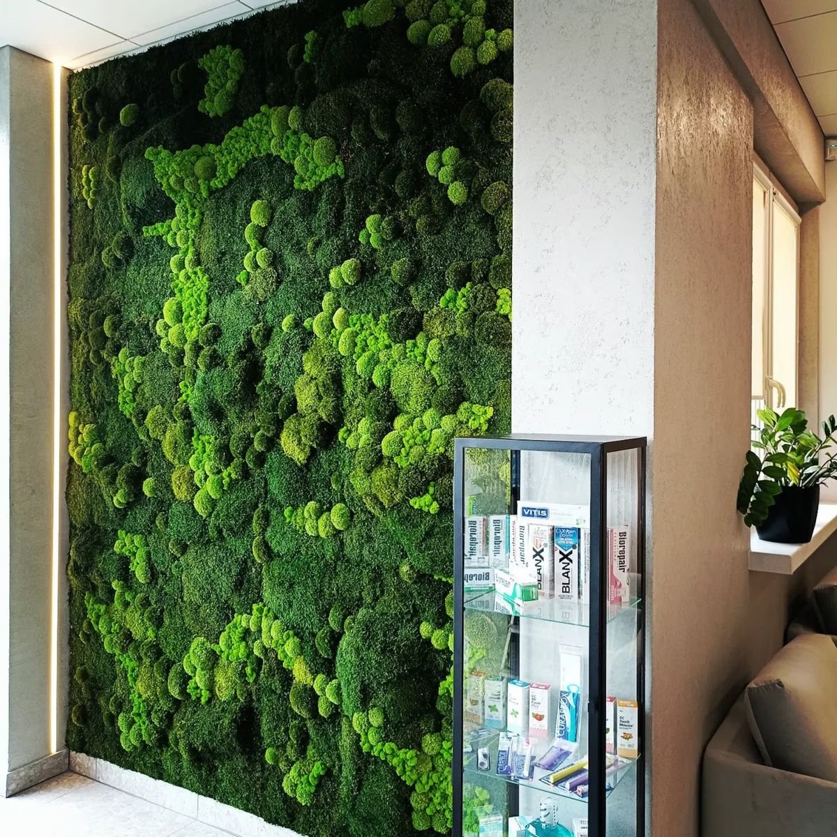 preserved moss wall store