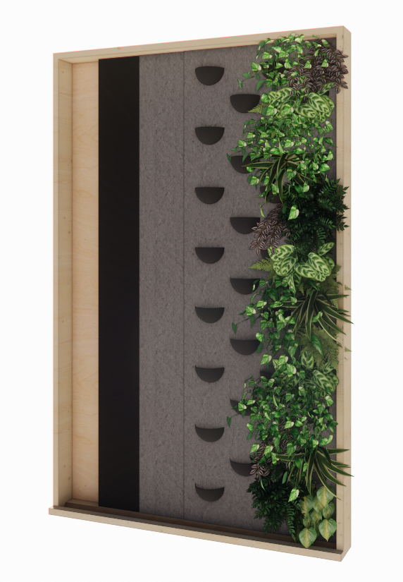 A vertical wall-mounted plant display with various green foliage plants on the right side, and black and gray felt panels with semi-circular cutouts on the left side, housed in a light wood frame.