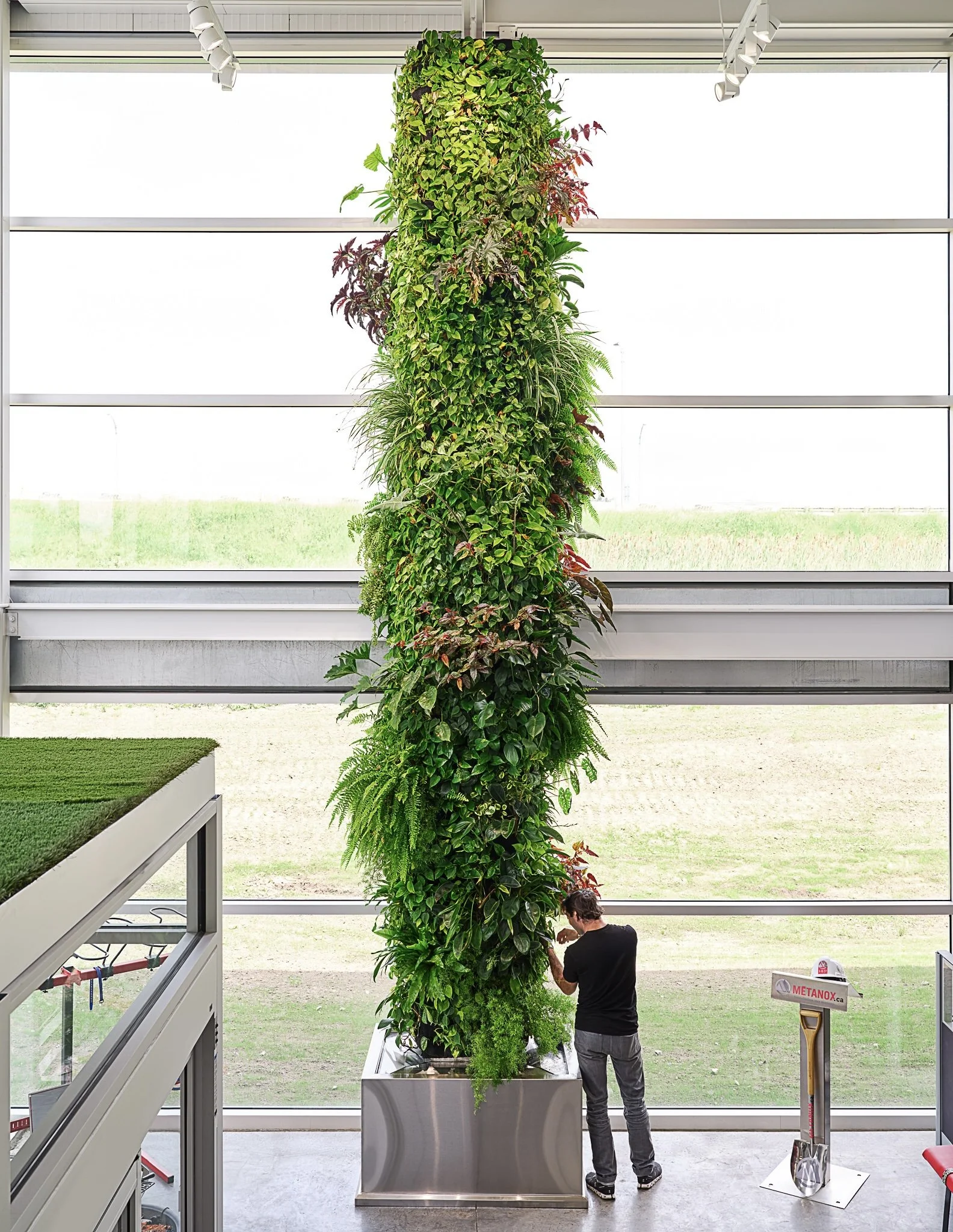A person in black shirt and gray pants working on a vertical garden inside a modern building with large windows and greenery outside.