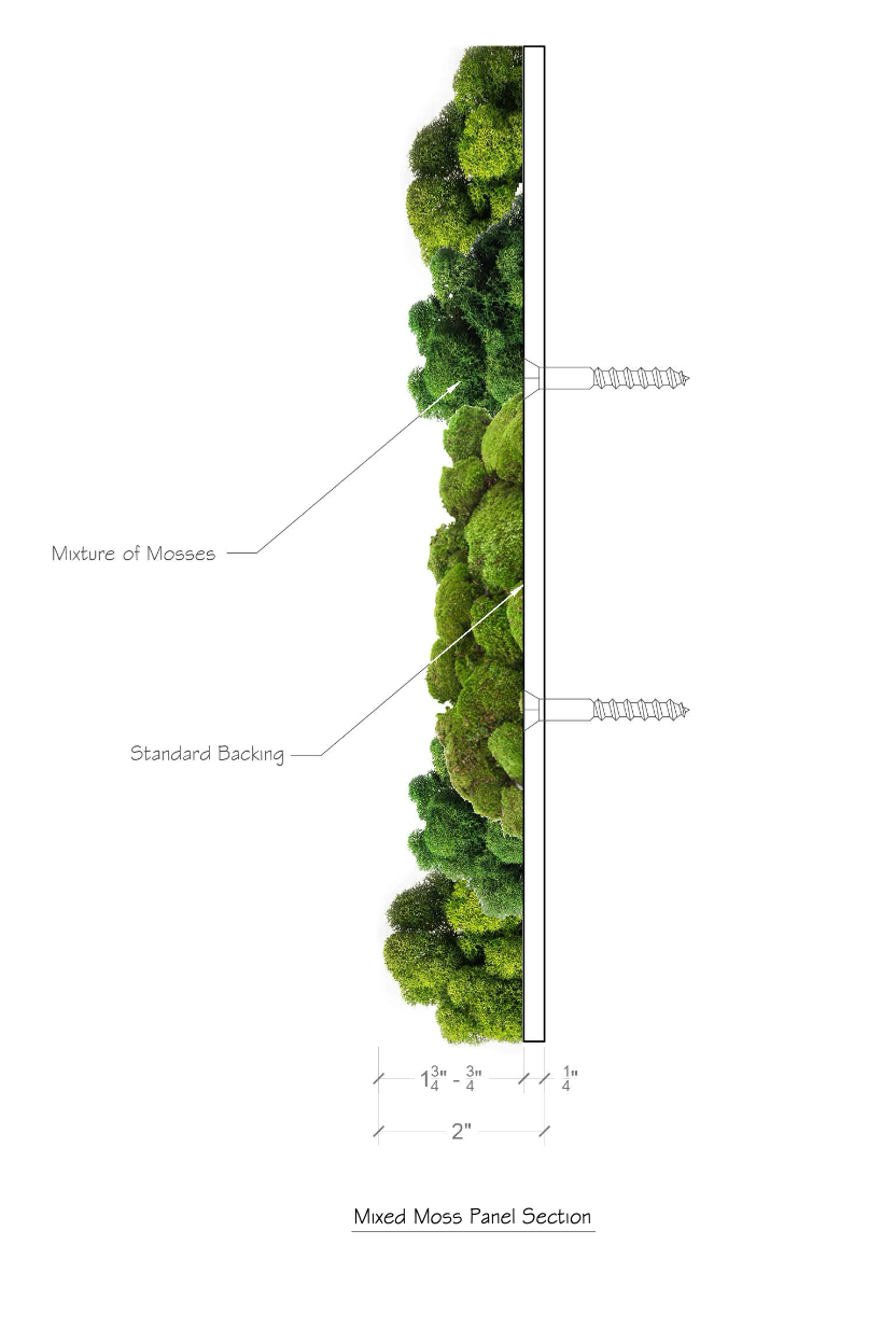 Diagram of a mixed moss panel section showing a mixture of mosses and standard backing with measurements