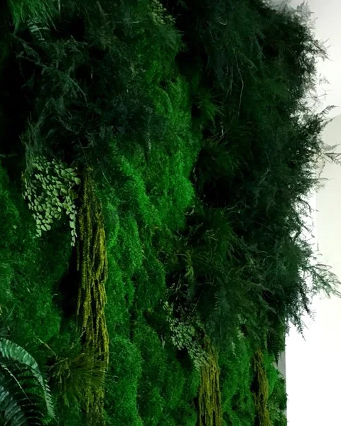Lush green indoor plant wall with various ferns and moss
