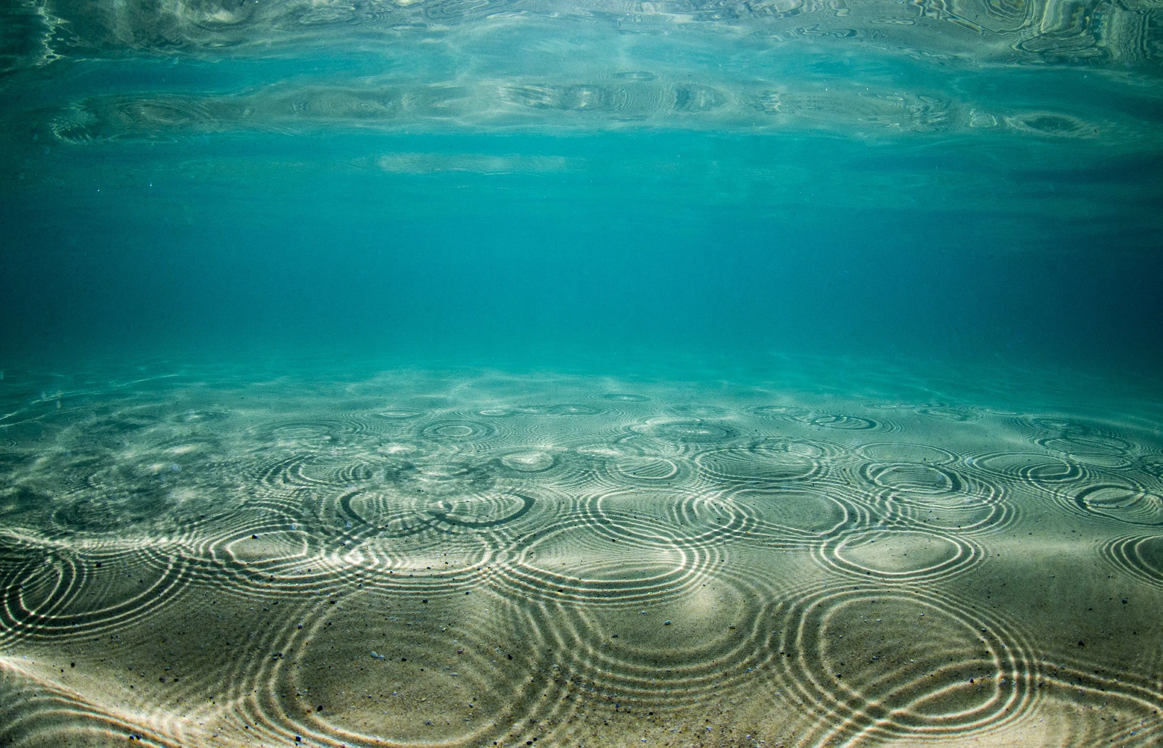 Summer Rain // Australia
