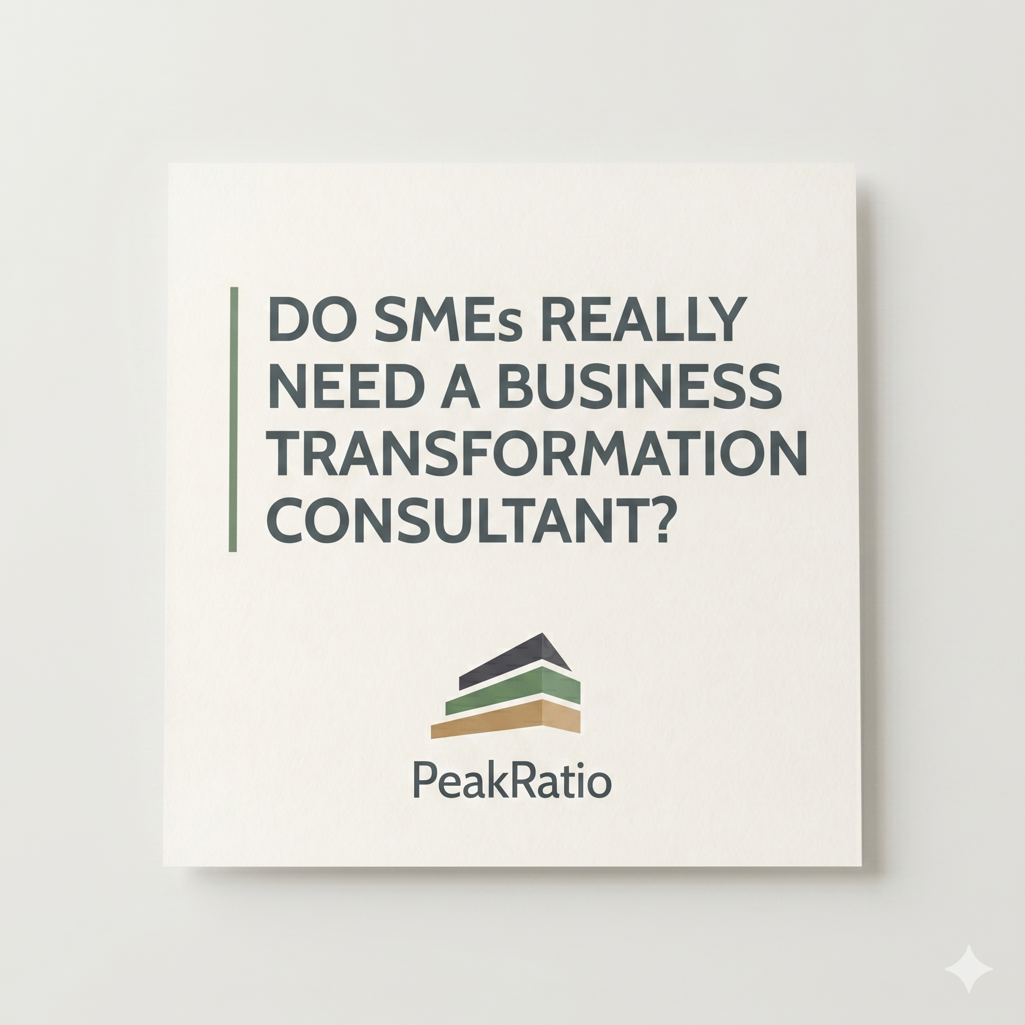 Do SMEs Really Need a Business Transformation Consultant? Here's the Honest Answer.
