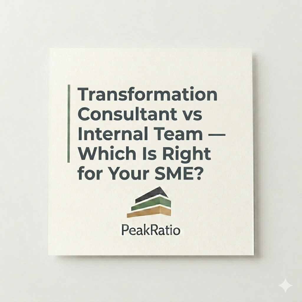 Transformation Consultant vs Internal Team: Which Is Right for Your SME?