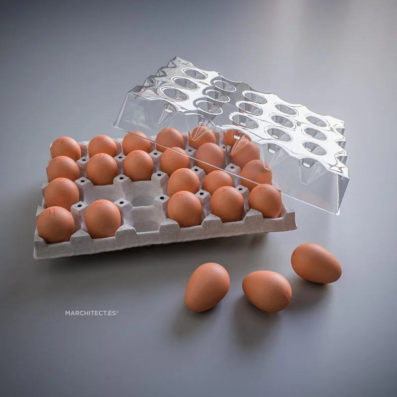 eggtray04bww.jpg
