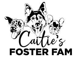Illustration of various dog faces with the text 'Caitie's Foster Fam'.