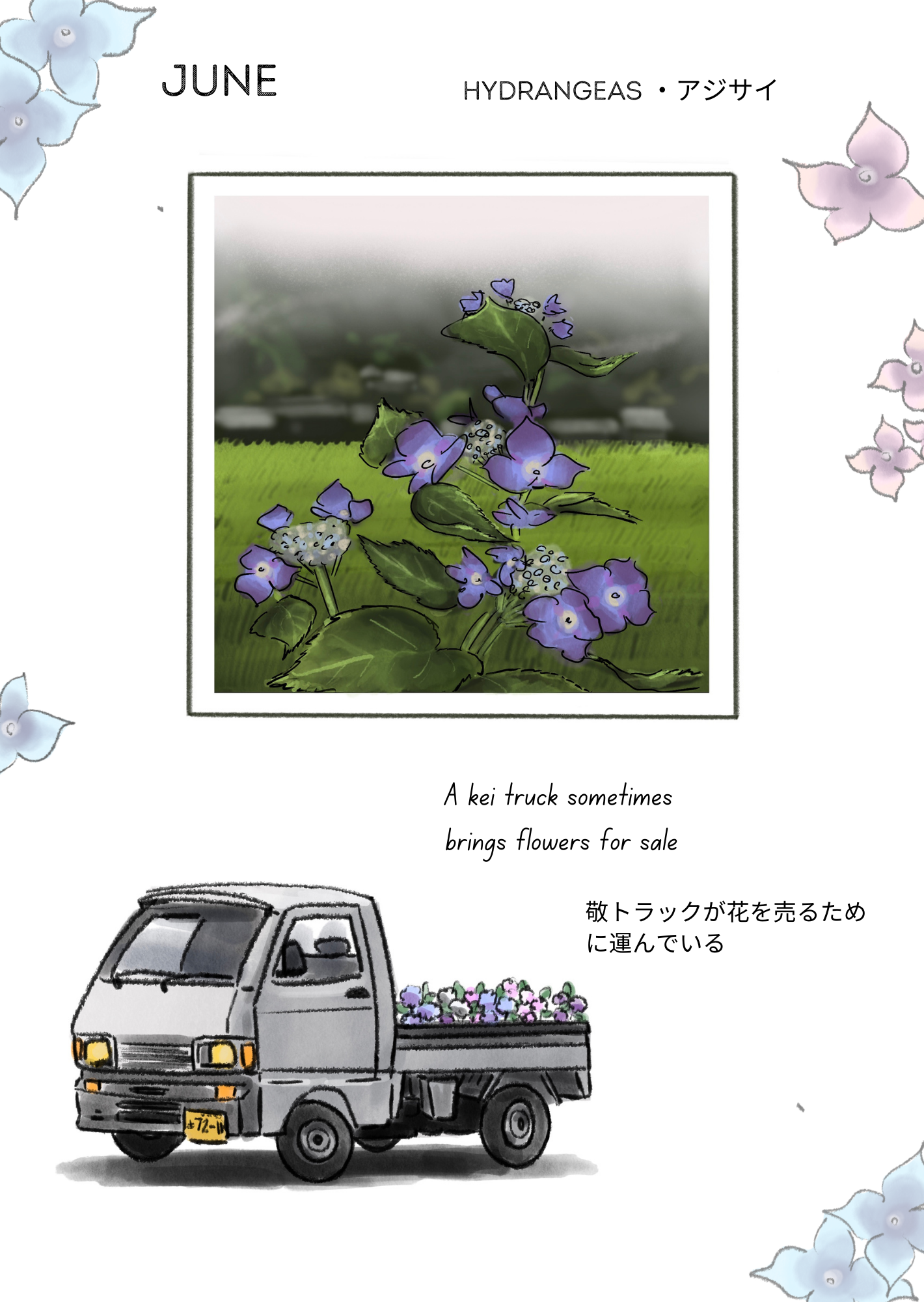IMG_8731.PNG